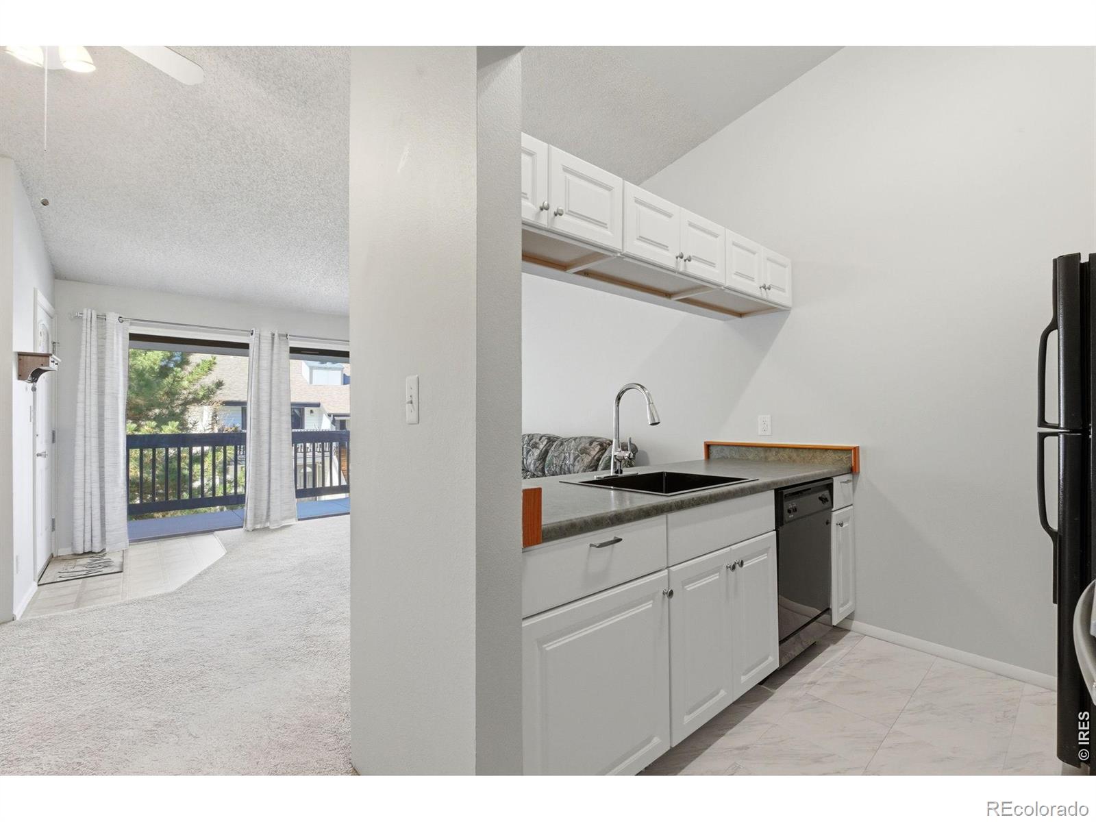 MLS Image #10 for 532  oakwood drive,castle rock, Colorado