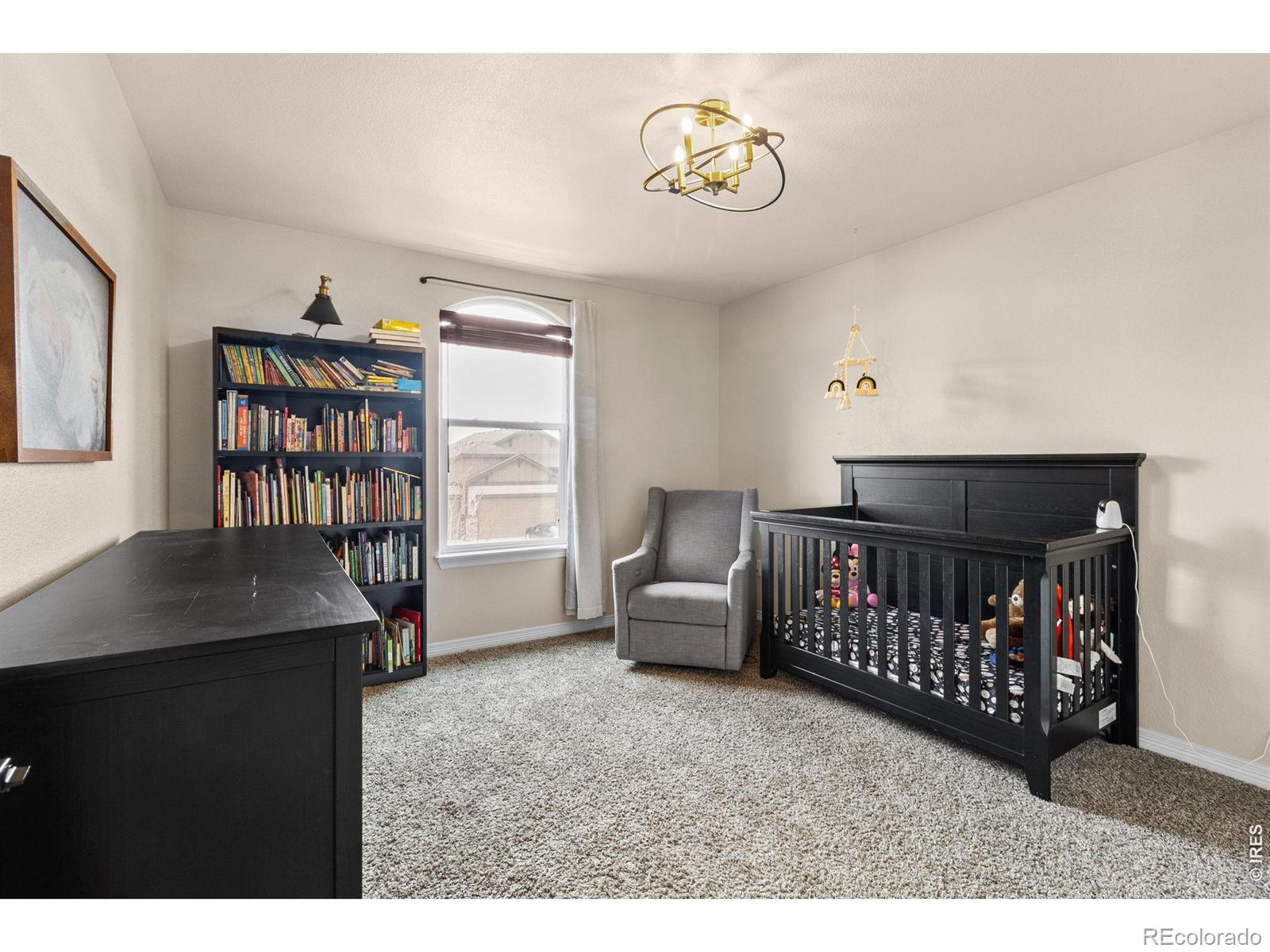 MLS Image #13 for 623  vermilion peak drive,windsor, Colorado
