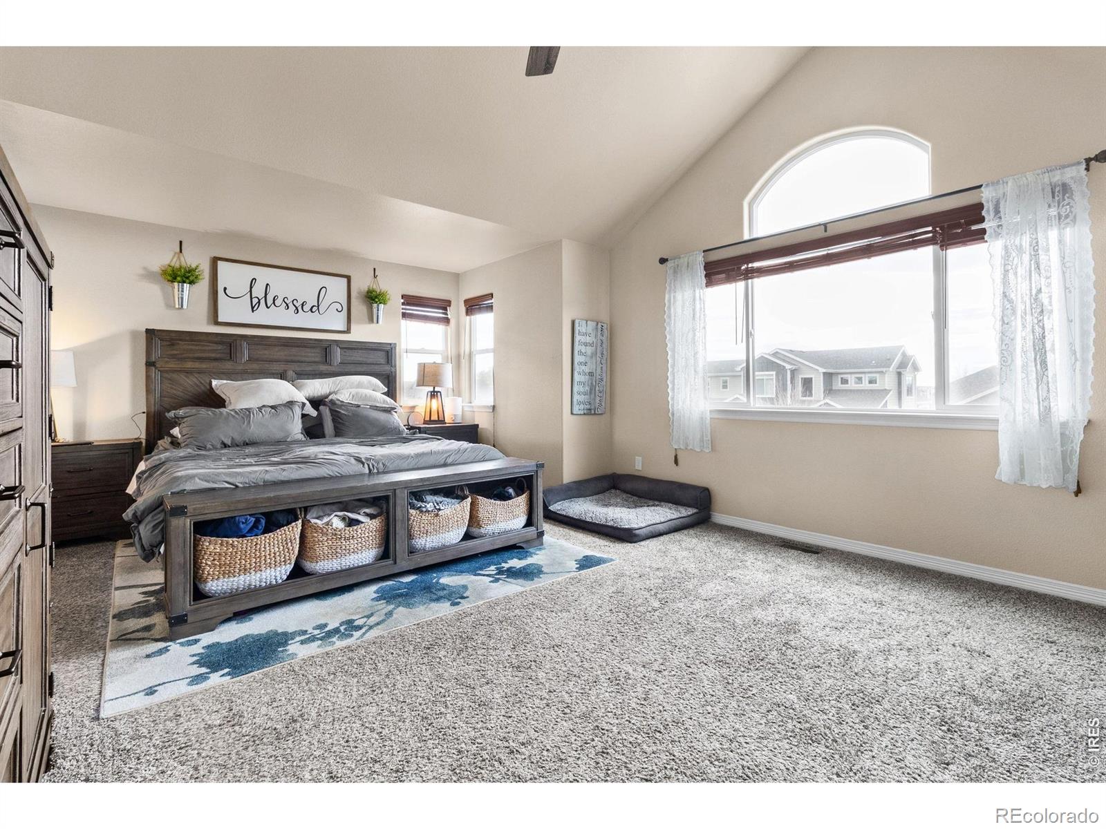 MLS Image #18 for 623  vermilion peak drive,windsor, Colorado