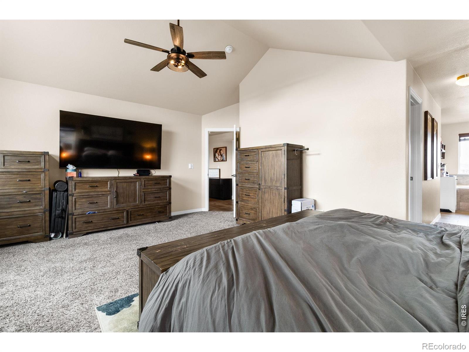 MLS Image #19 for 623  vermilion peak drive,windsor, Colorado