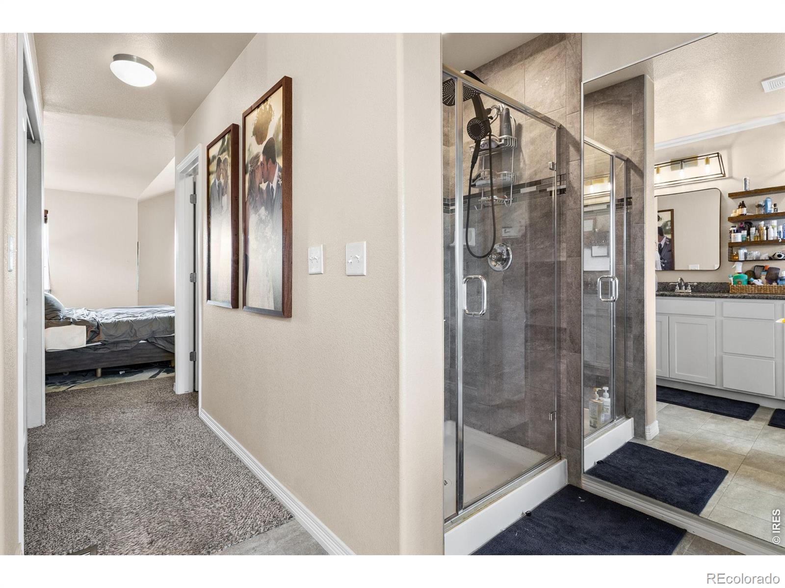 MLS Image #22 for 623  vermilion peak drive,windsor, Colorado