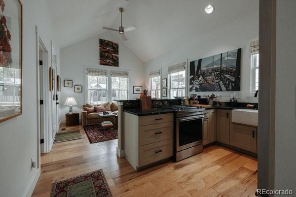 MLS Image #5 for 1101  river park road,buena vista, Colorado