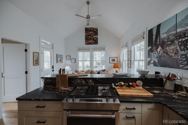 MLS Image #7 for 1101  river park road,buena vista, Colorado