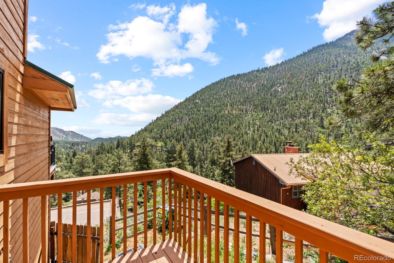 MLS Image #5 for 4440  prairie street,cascade, Colorado