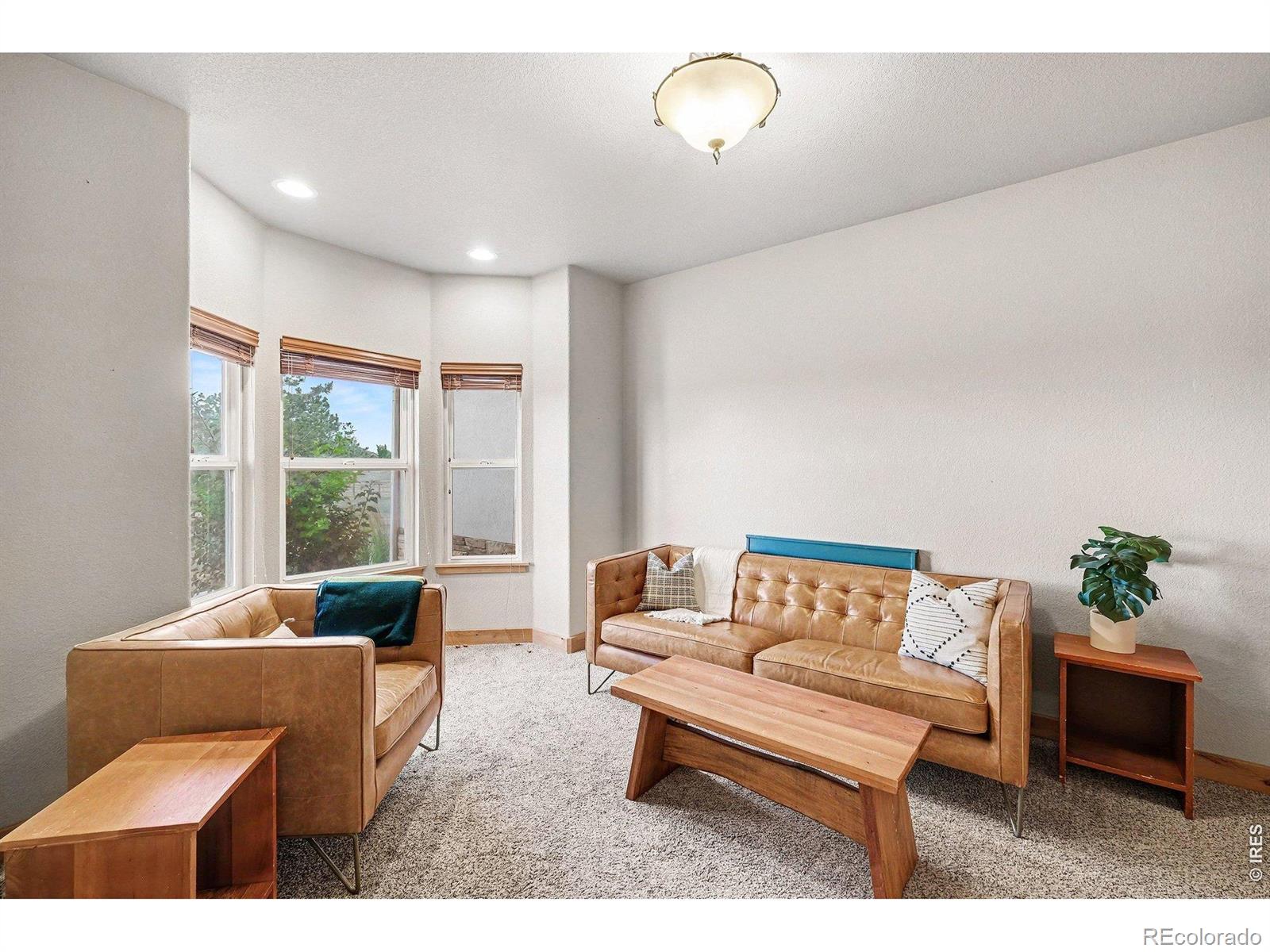 MLS Image #23 for 1441  shelby drive,berthoud, Colorado