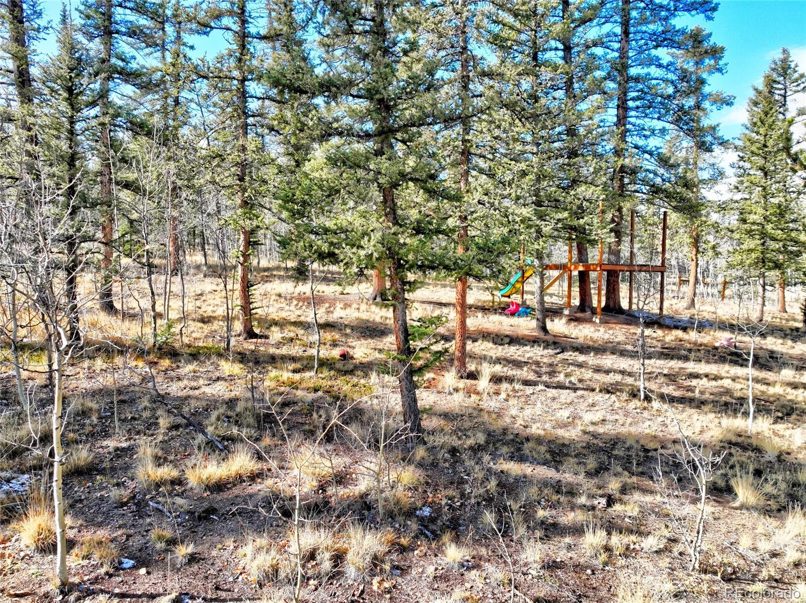 MLS Image #40 for 45  swiggler ,jefferson, Colorado