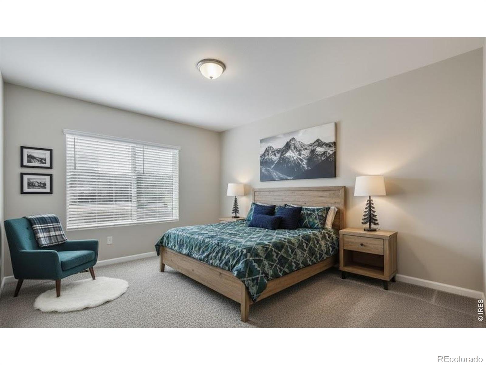 MLS Image #13 for 919  schlagel street,fort collins, Colorado