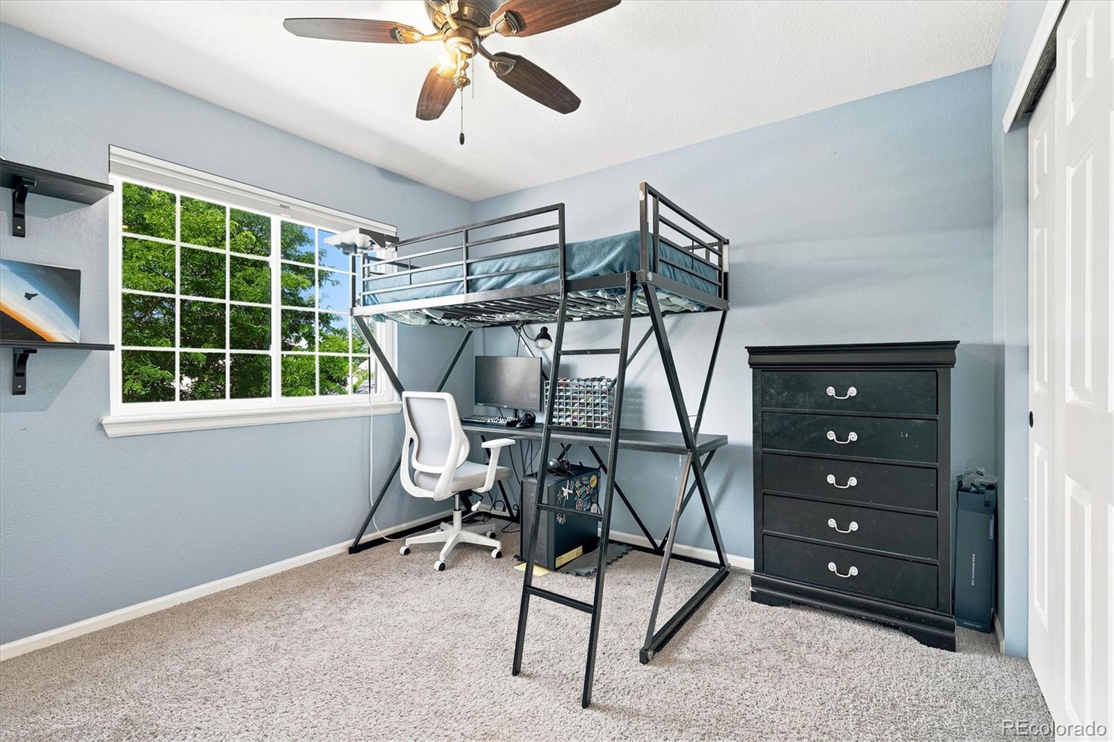 MLS Image #26 for 3567  boardwalk circle,highlands ranch, Colorado