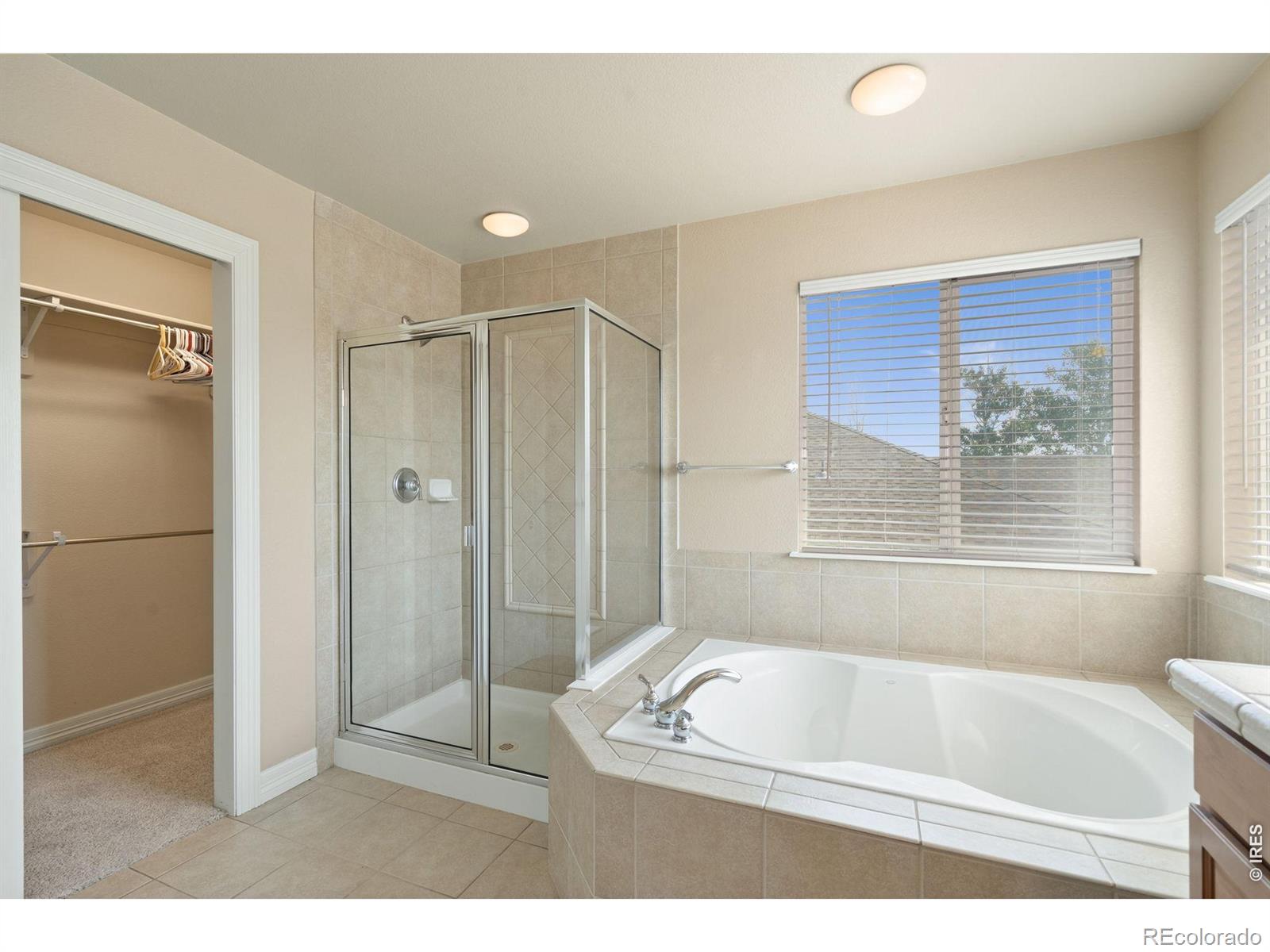 MLS Image #23 for 3338  wray court,loveland, Colorado