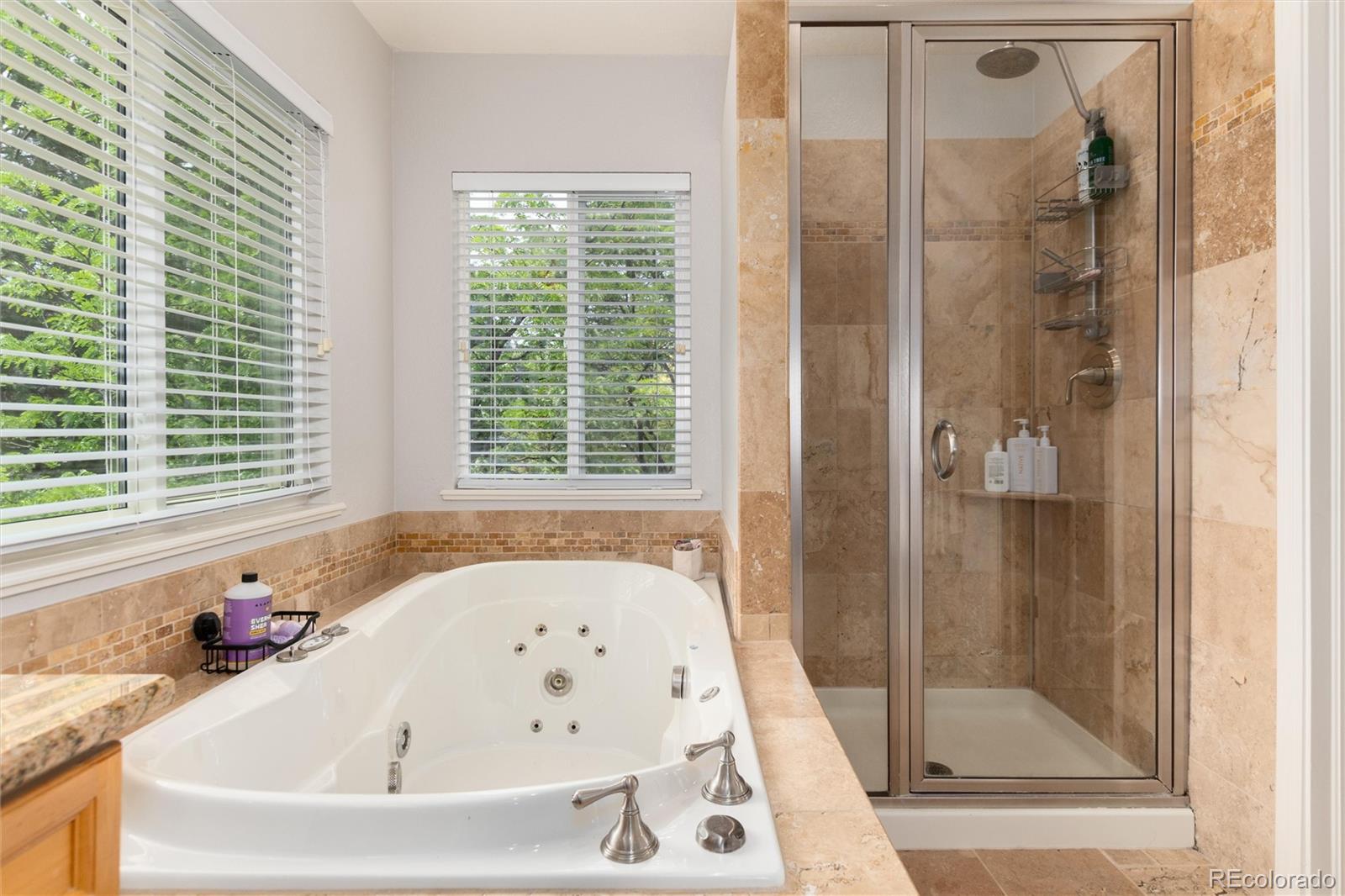 MLS Image #26 for 4329  swansboro way,littleton, Colorado