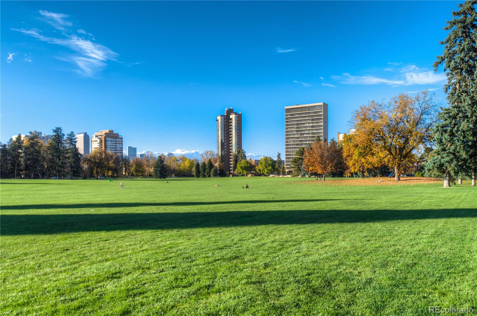 MLS Image #45 for 1201 n williams street,denver, Colorado
