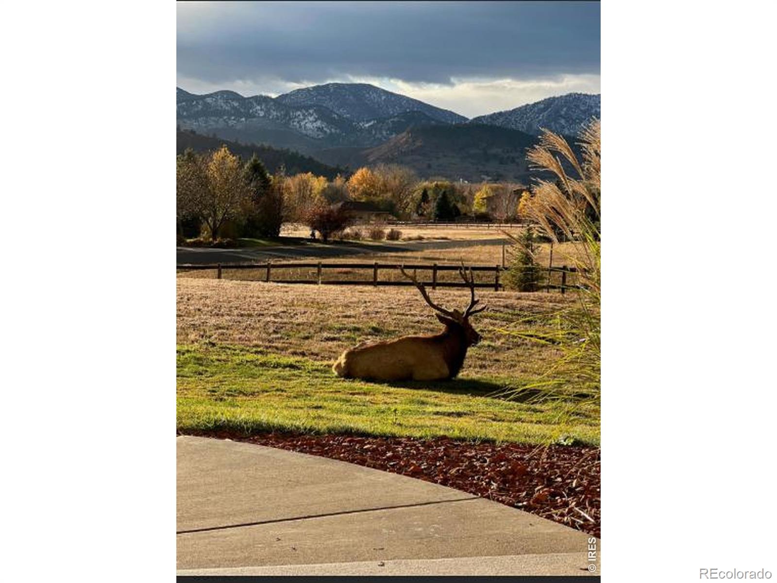 MLS Image #47 for 6009  pronto way,loveland, Colorado