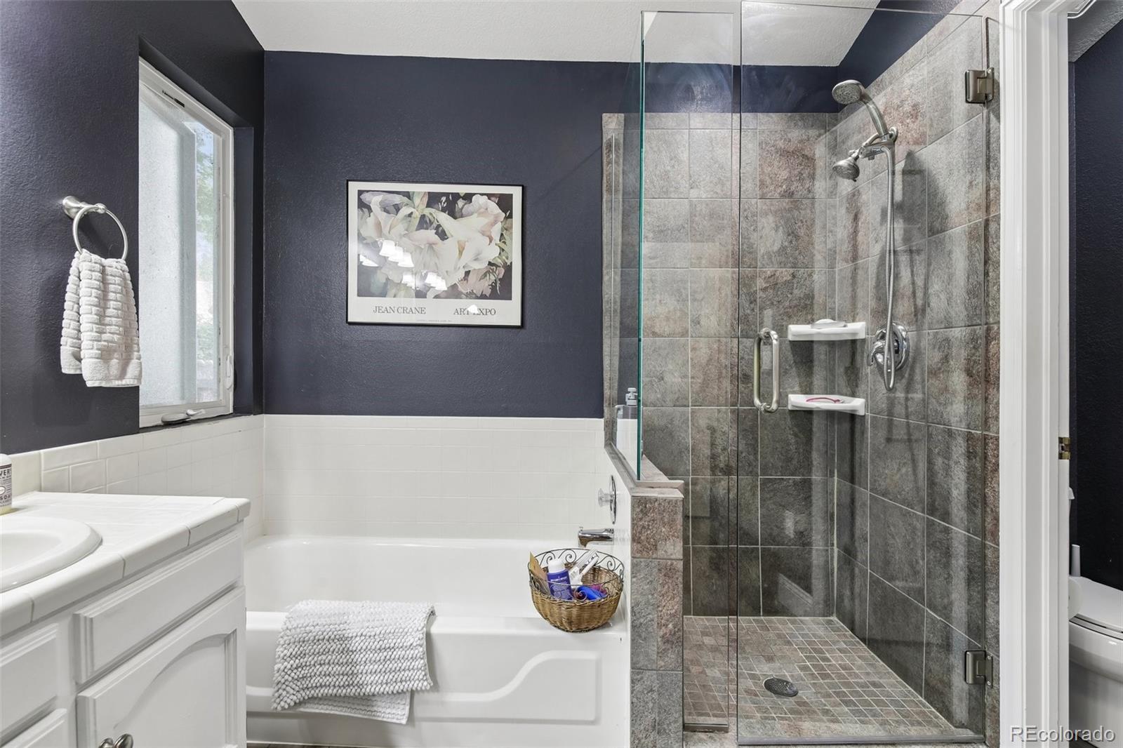 MLS Image #10 for 7100  dry creek court,niwot, Colorado