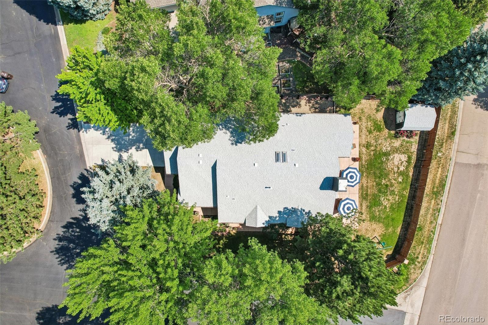 MLS Image #41 for 7100  dry creek court,niwot, Colorado
