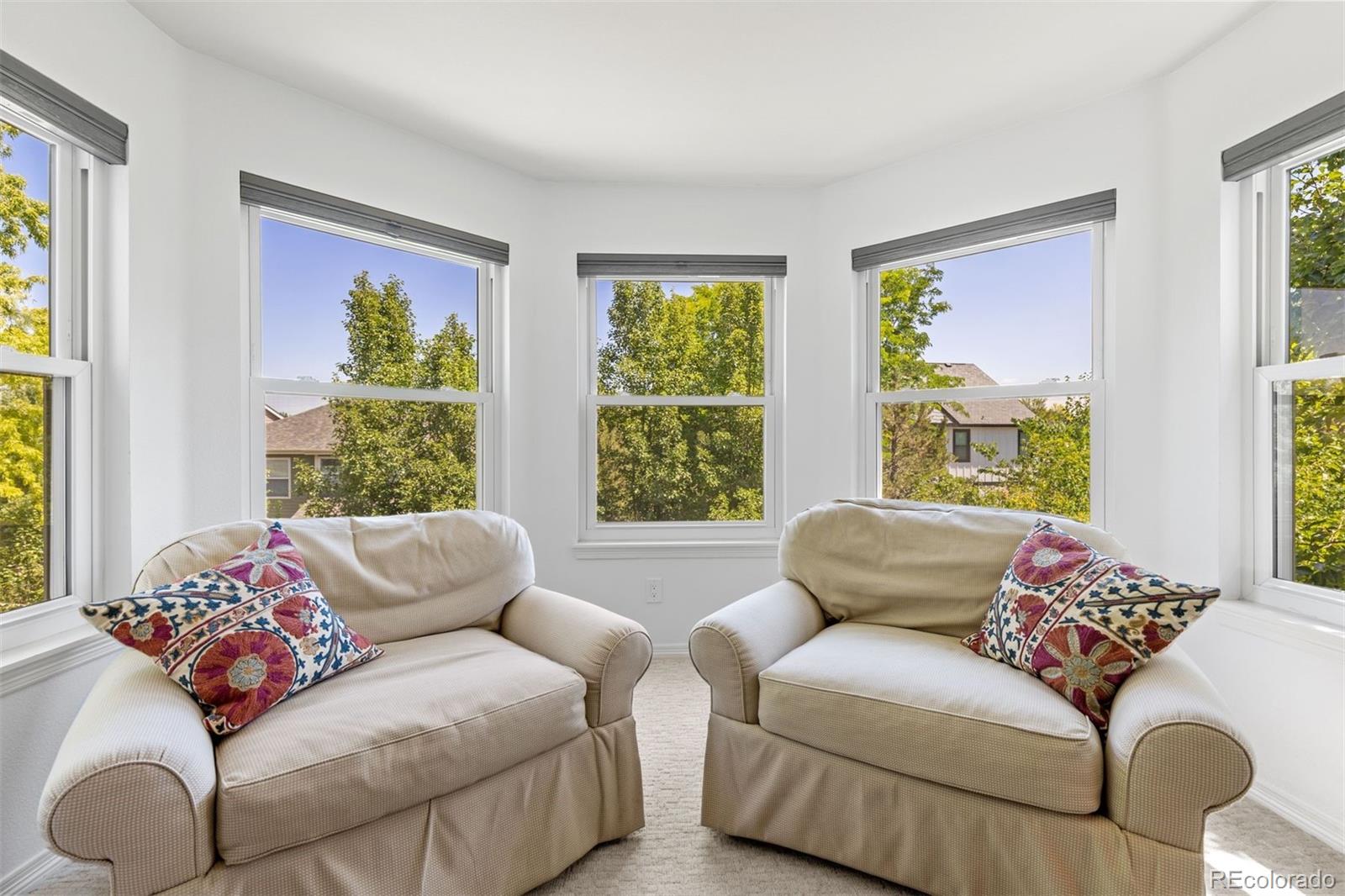 MLS Image #19 for 2263  indian paintbrush circle,highlands ranch, Colorado