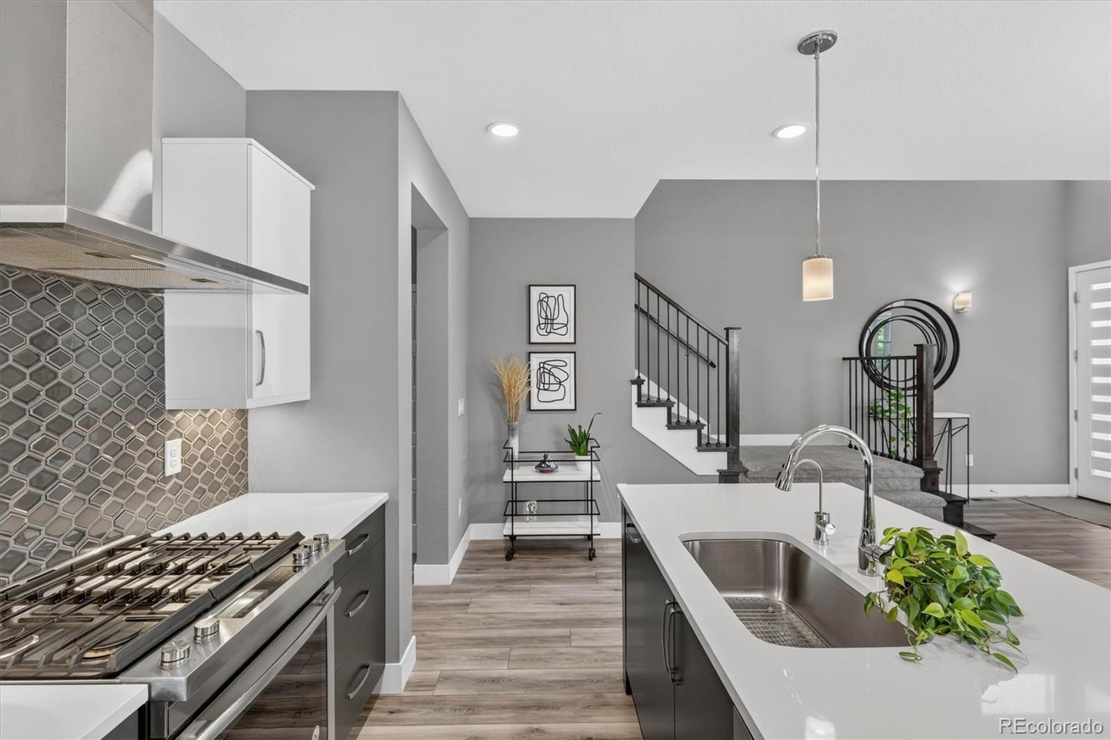 MLS Image #10 for 6048  beeler court,denver, Colorado