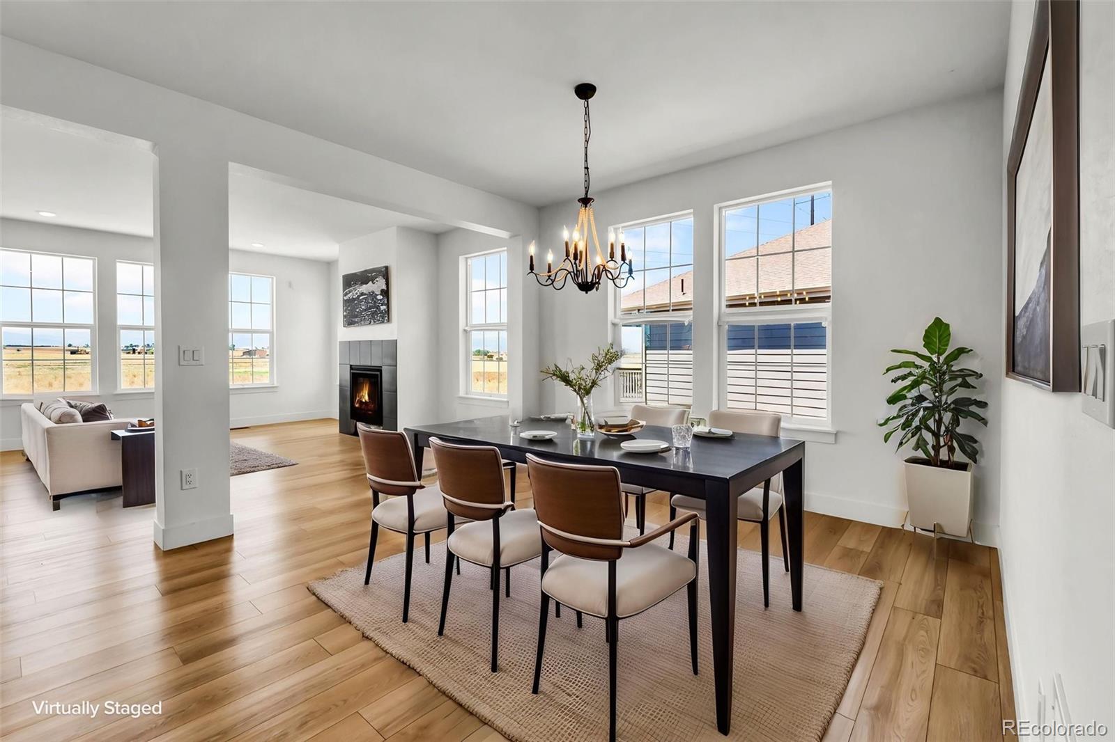 MLS Image #10 for 3309  bluestem street,dacono, Colorado
