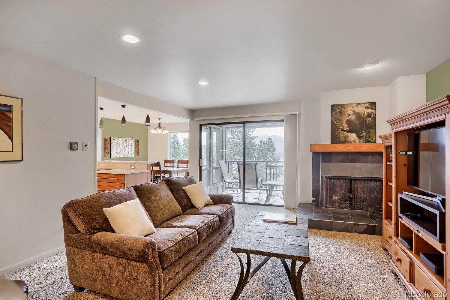 MLS Image #2 for 160 e la bonte street,dillon, Colorado