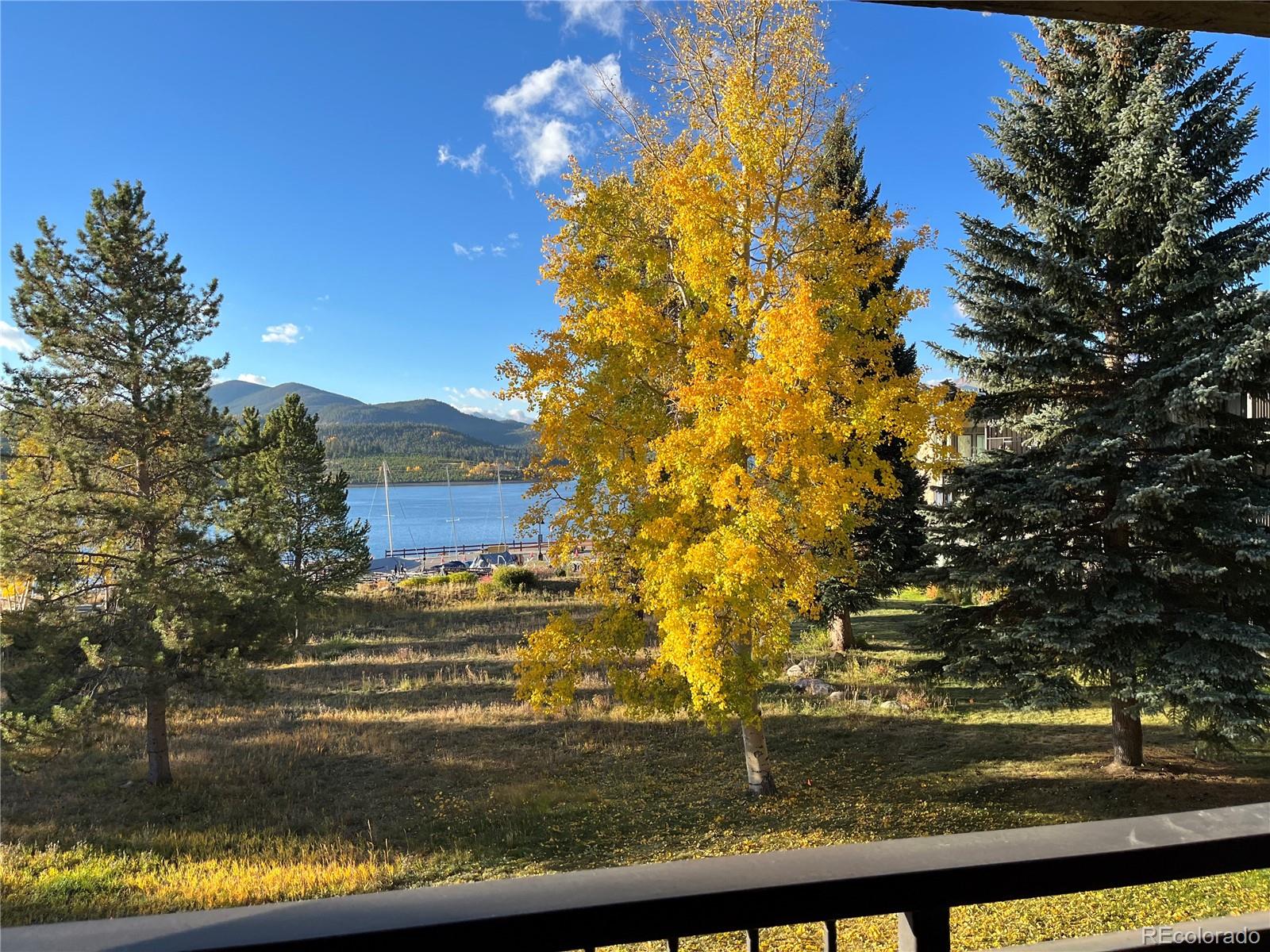 MLS Image #25 for 160 e la bonte street,dillon, Colorado