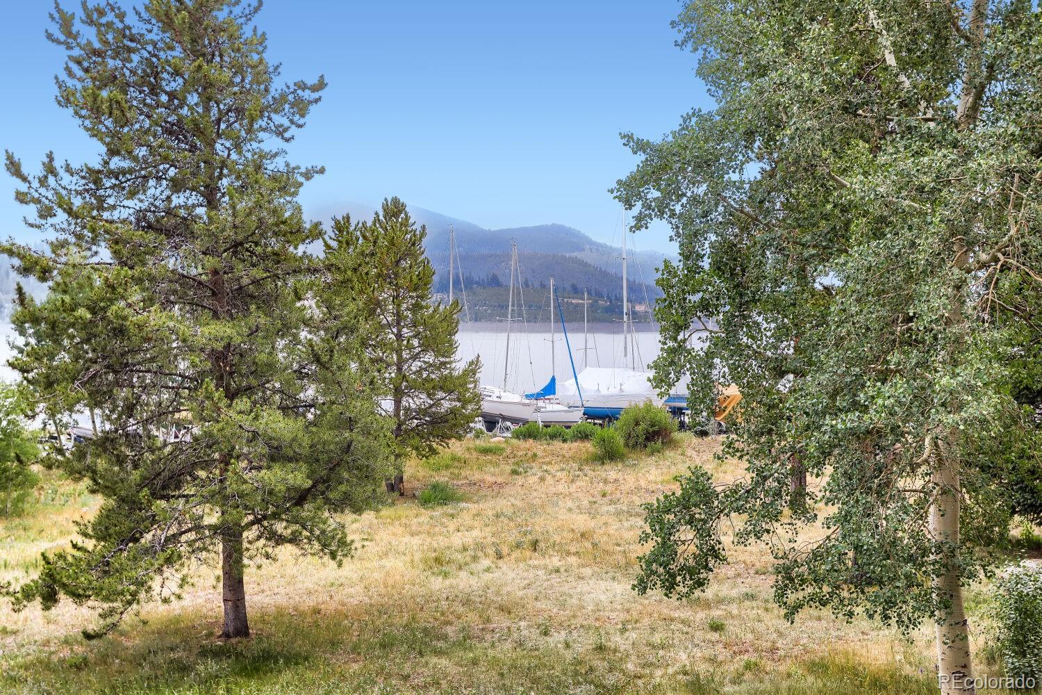 MLS Image #5 for 160 e la bonte street,dillon, Colorado