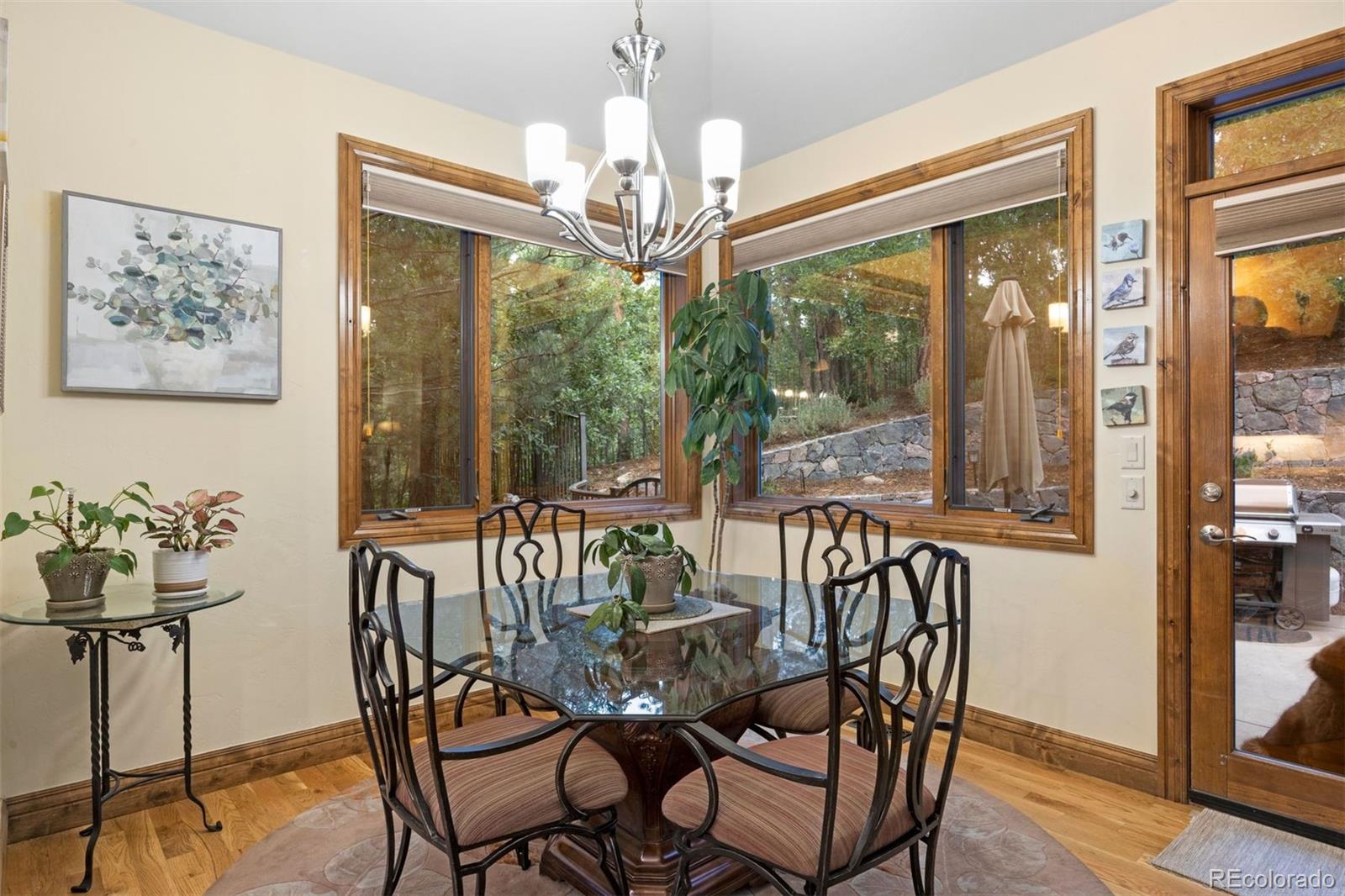 MLS Image #16 for 5276  red pass court,castle rock, Colorado