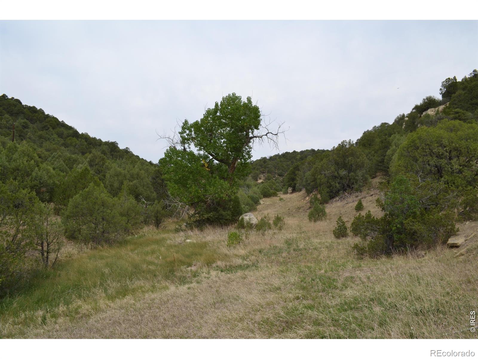 MLS Image #21 for 17001  peacock road,trinidad, Colorado