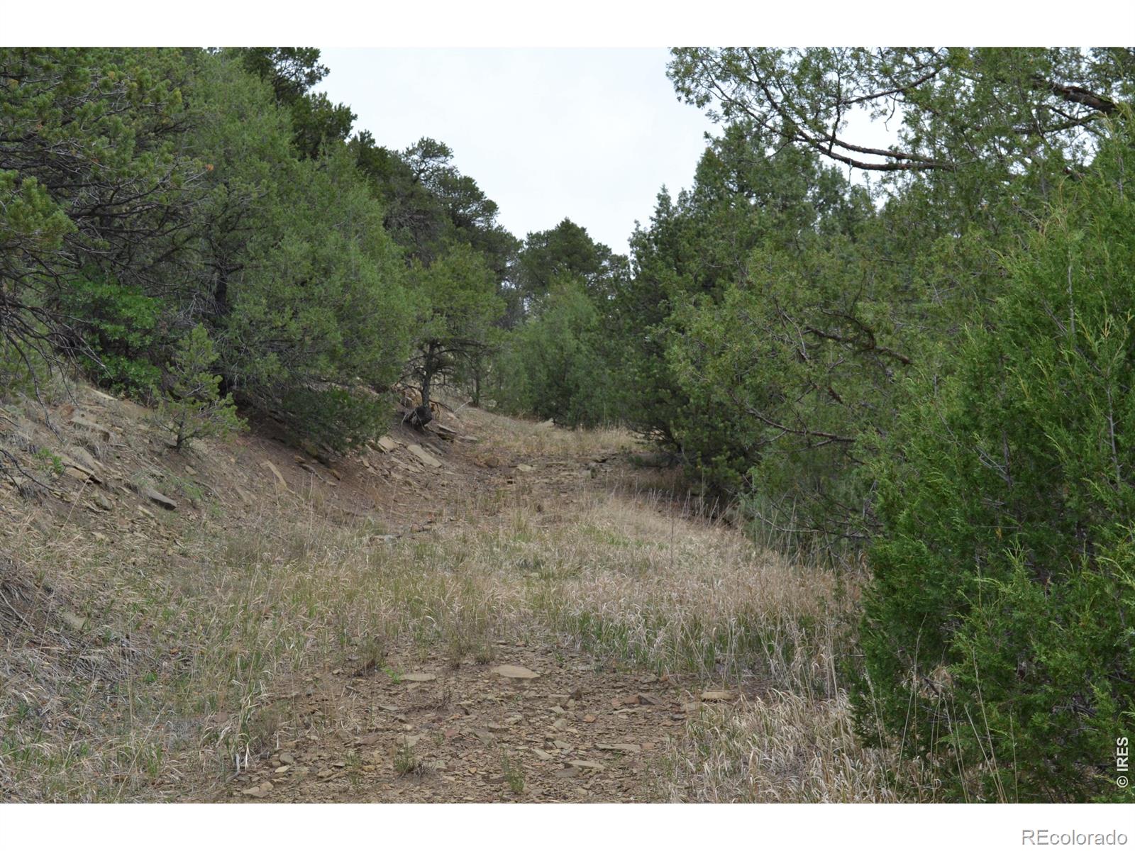 MLS Image #28 for 17001  peacock road,trinidad, Colorado