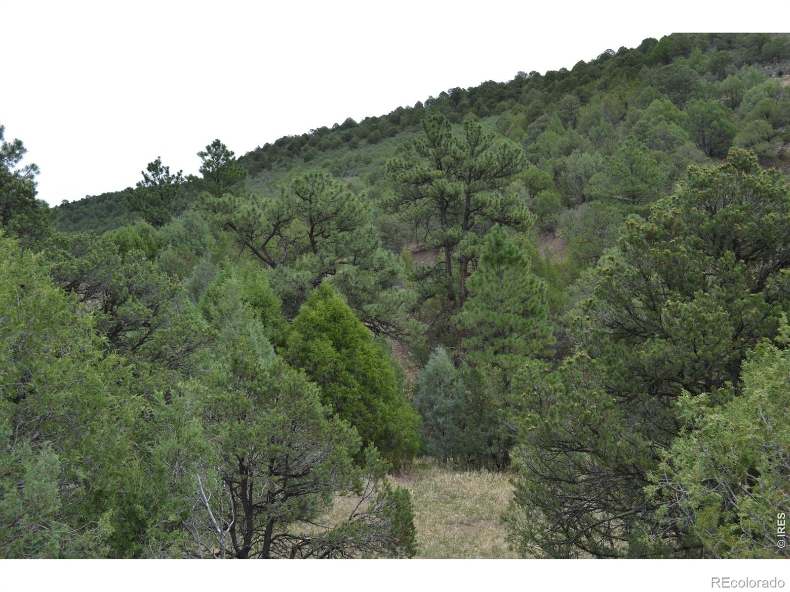 MLS Image #29 for 17001  peacock road,trinidad, Colorado