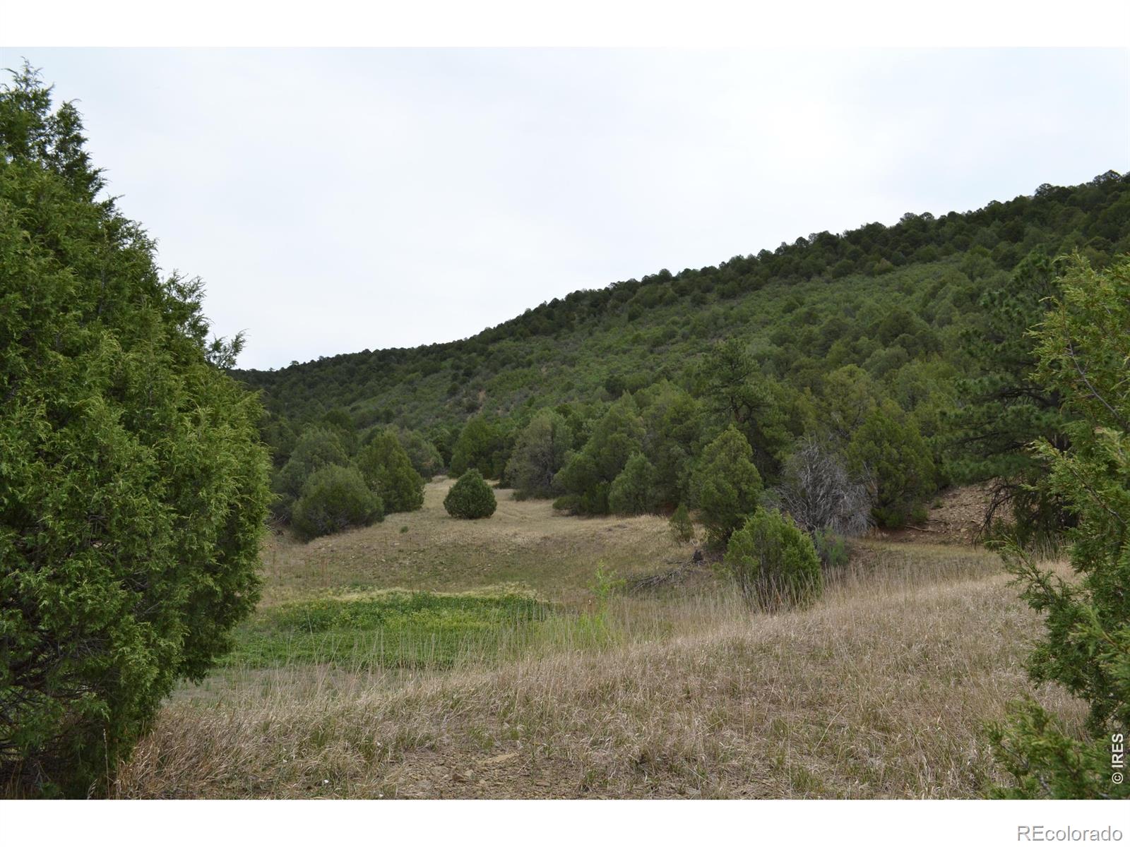 MLS Image #30 for 17001  peacock road,trinidad, Colorado
