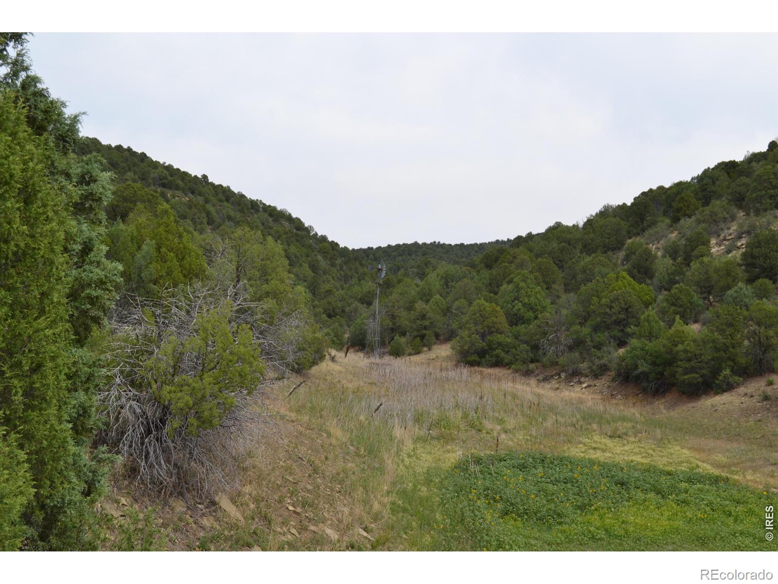 MLS Image #31 for 17001  peacock road,trinidad, Colorado