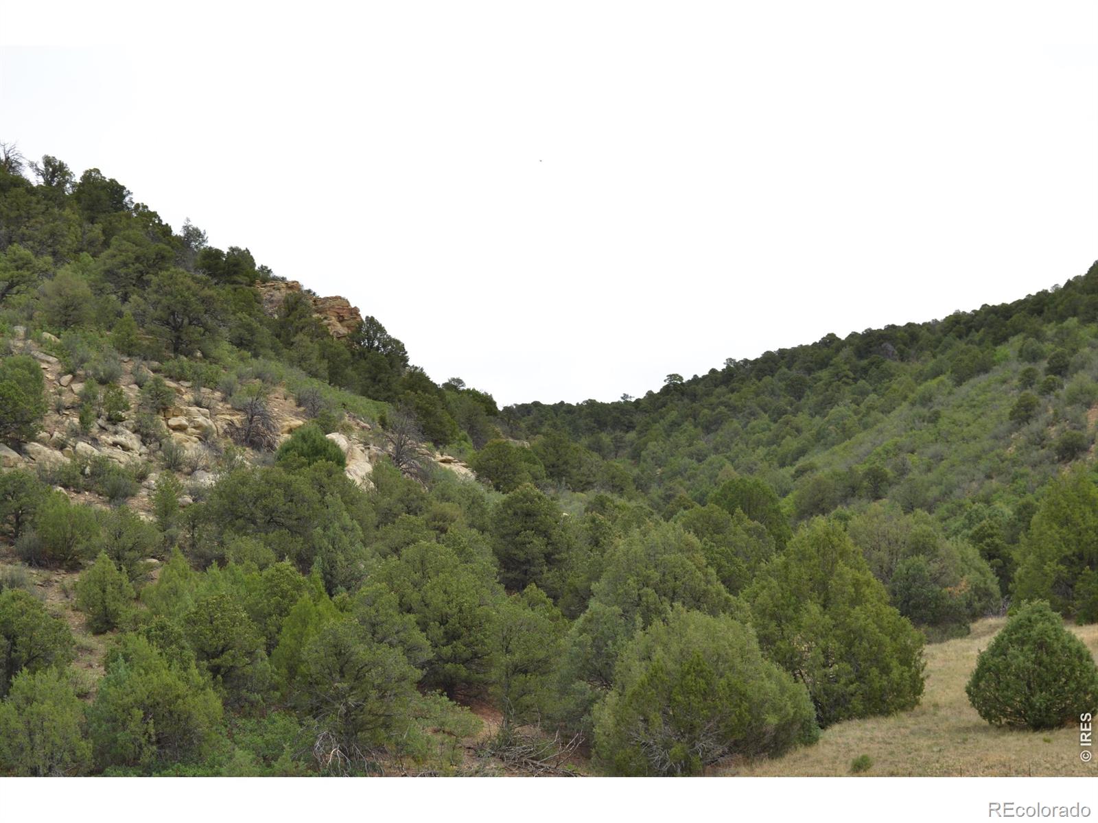 MLS Image #33 for 17001  peacock road,trinidad, Colorado