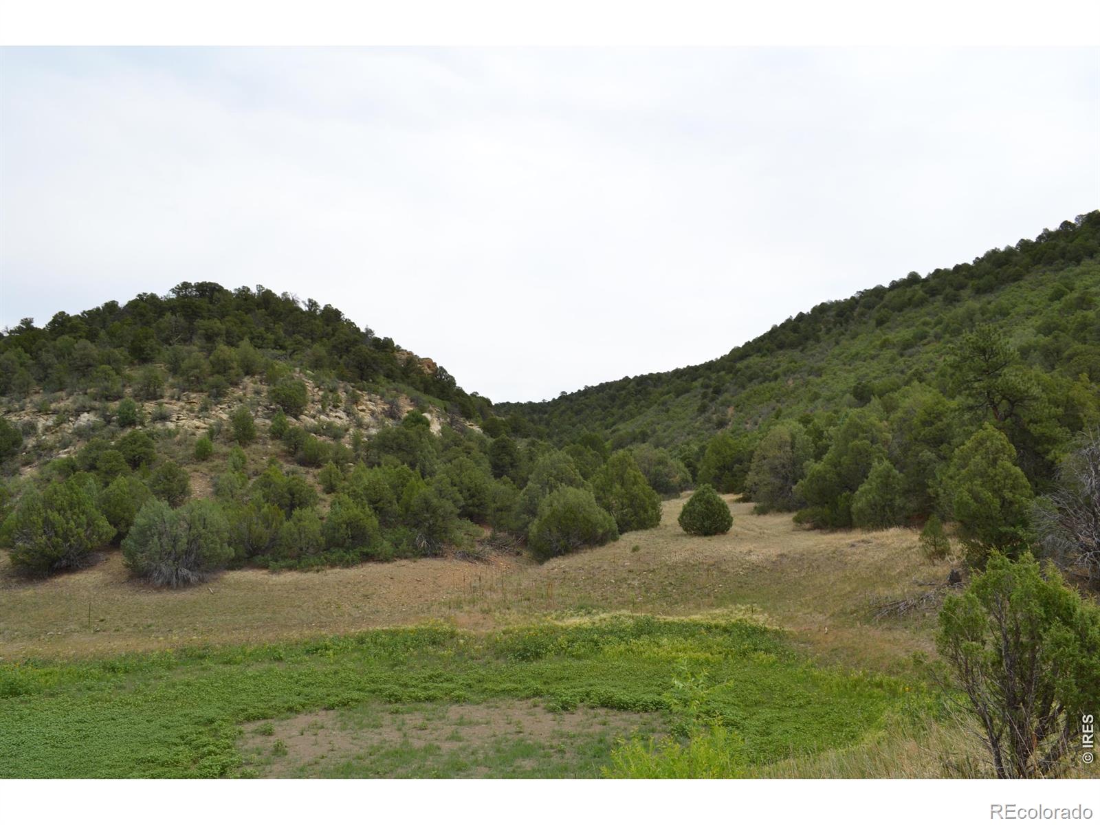 MLS Image #34 for 17001  peacock road,trinidad, Colorado