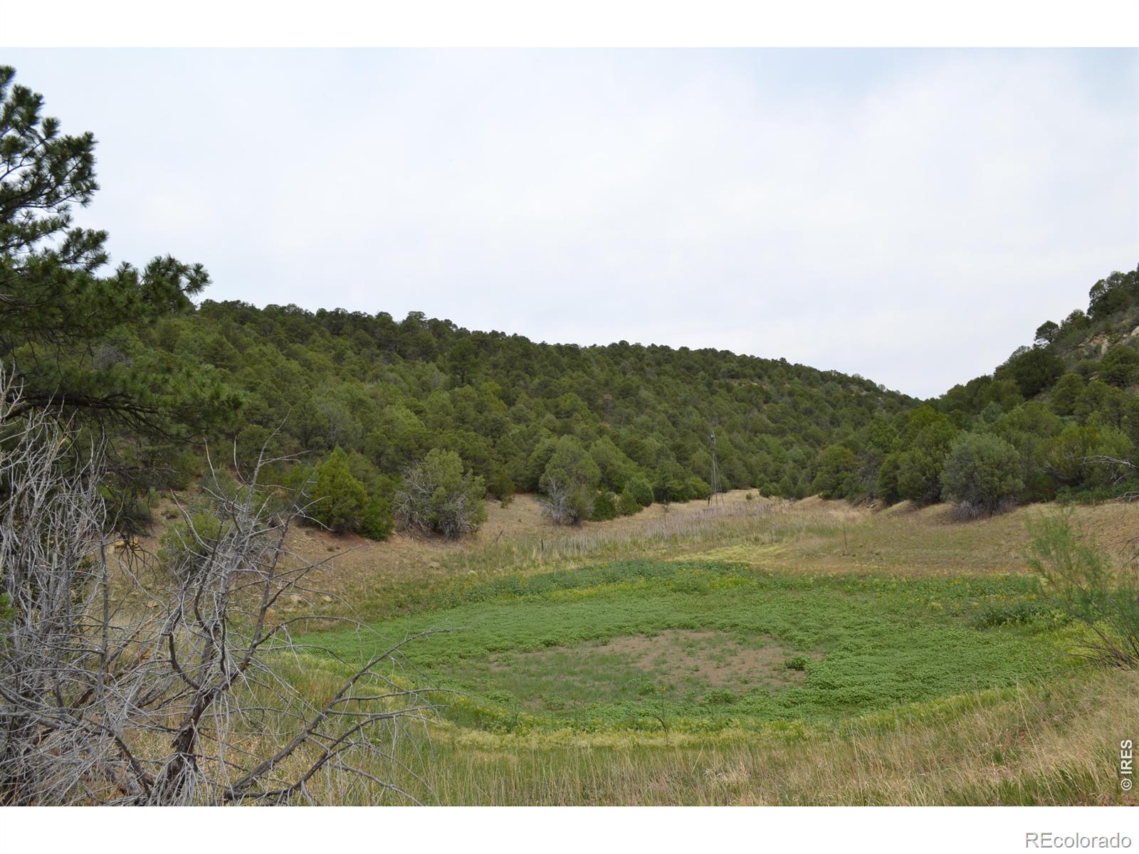MLS Image #35 for 17001  peacock road,trinidad, Colorado