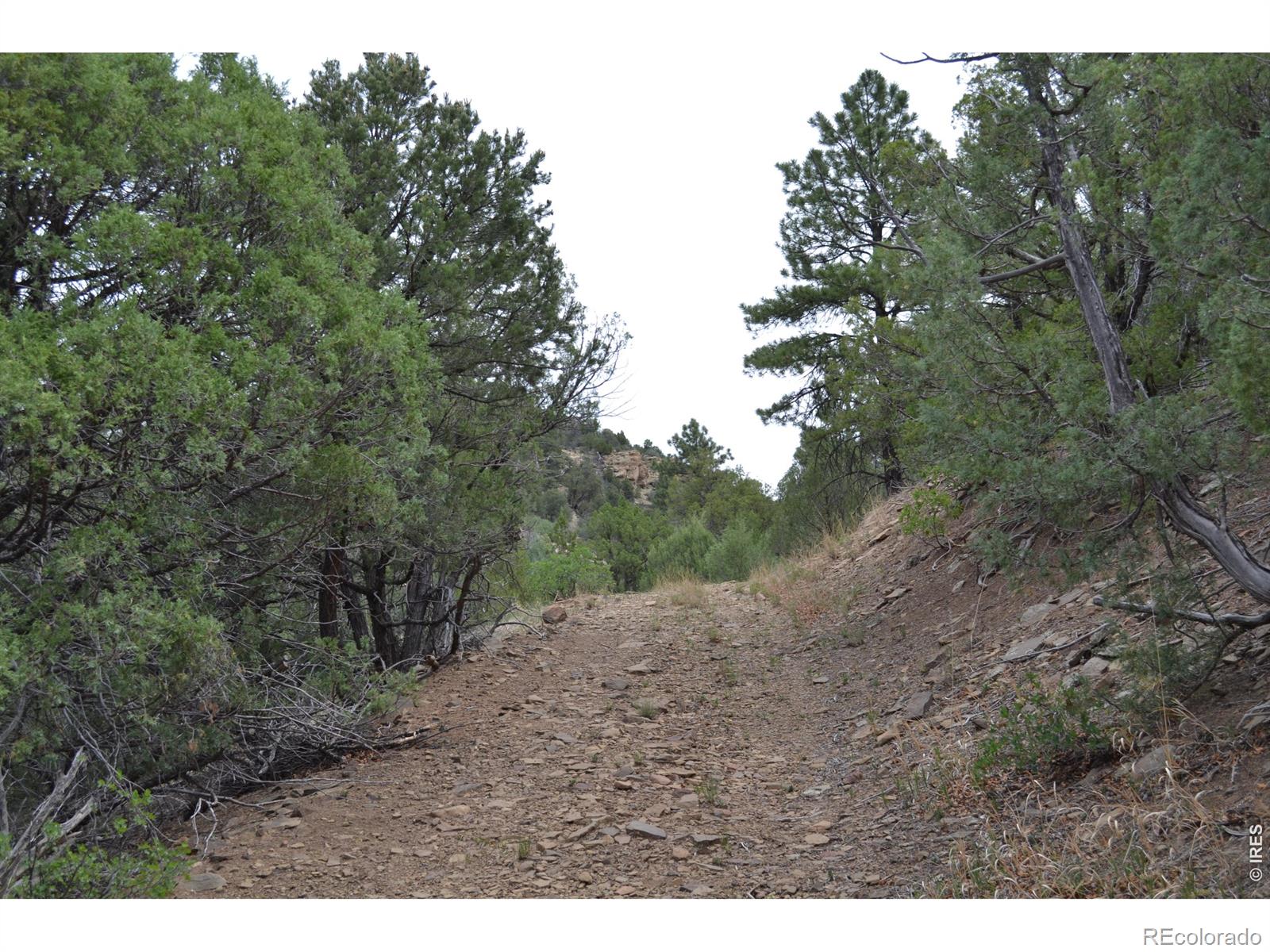 MLS Image #36 for 17001  peacock road,trinidad, Colorado