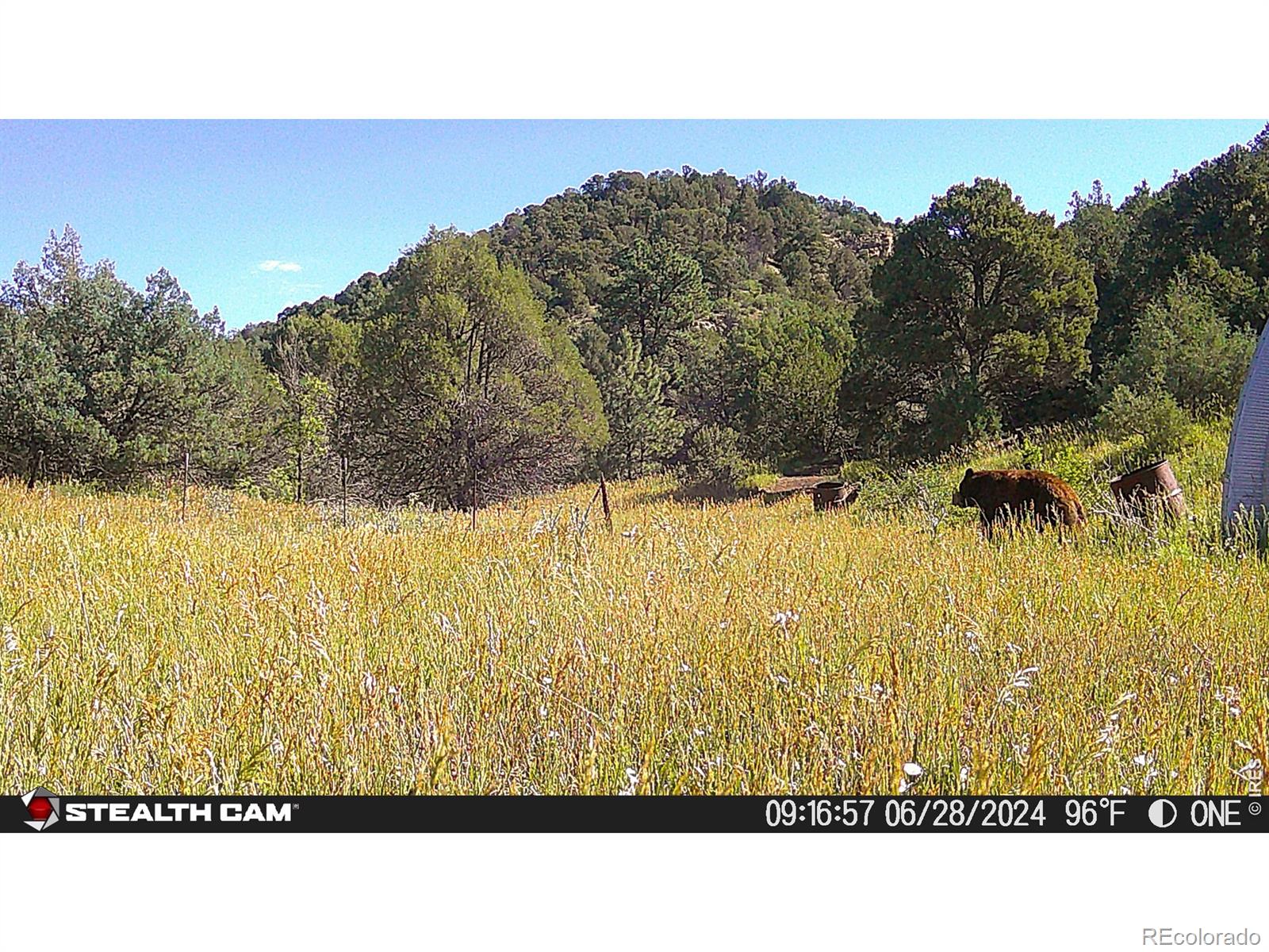 MLS Image #42 for 17001  peacock road,trinidad, Colorado