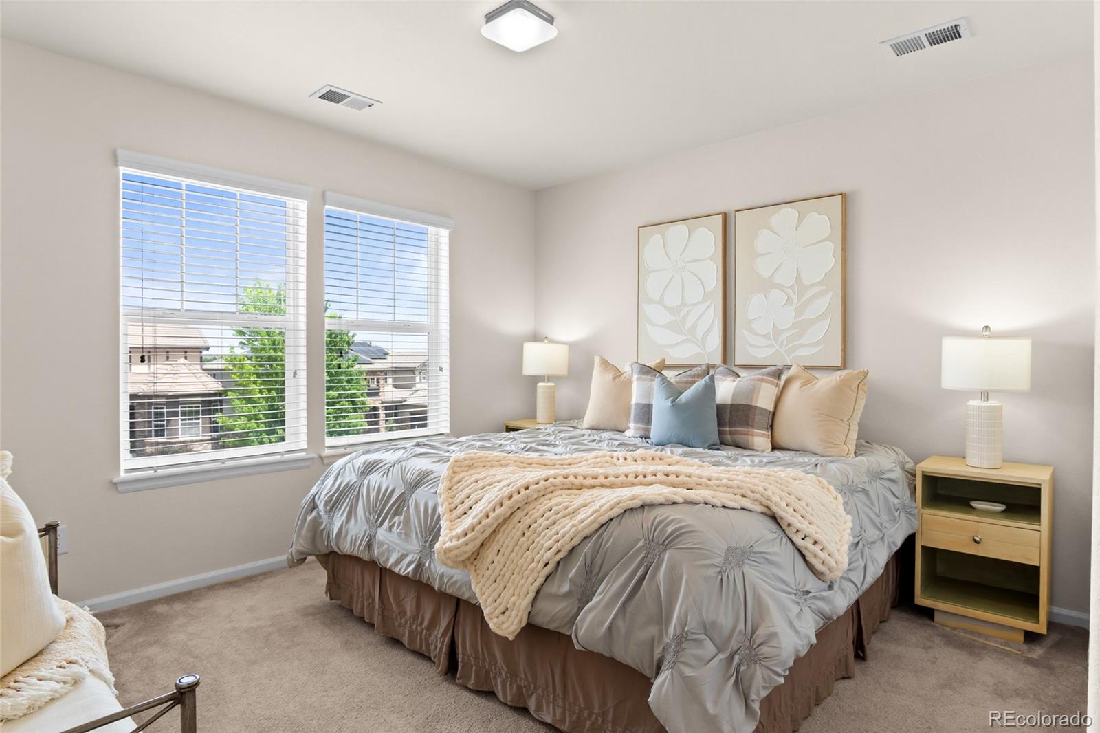 MLS Image #21 for 6678  esmeralda drive,castle rock, Colorado
