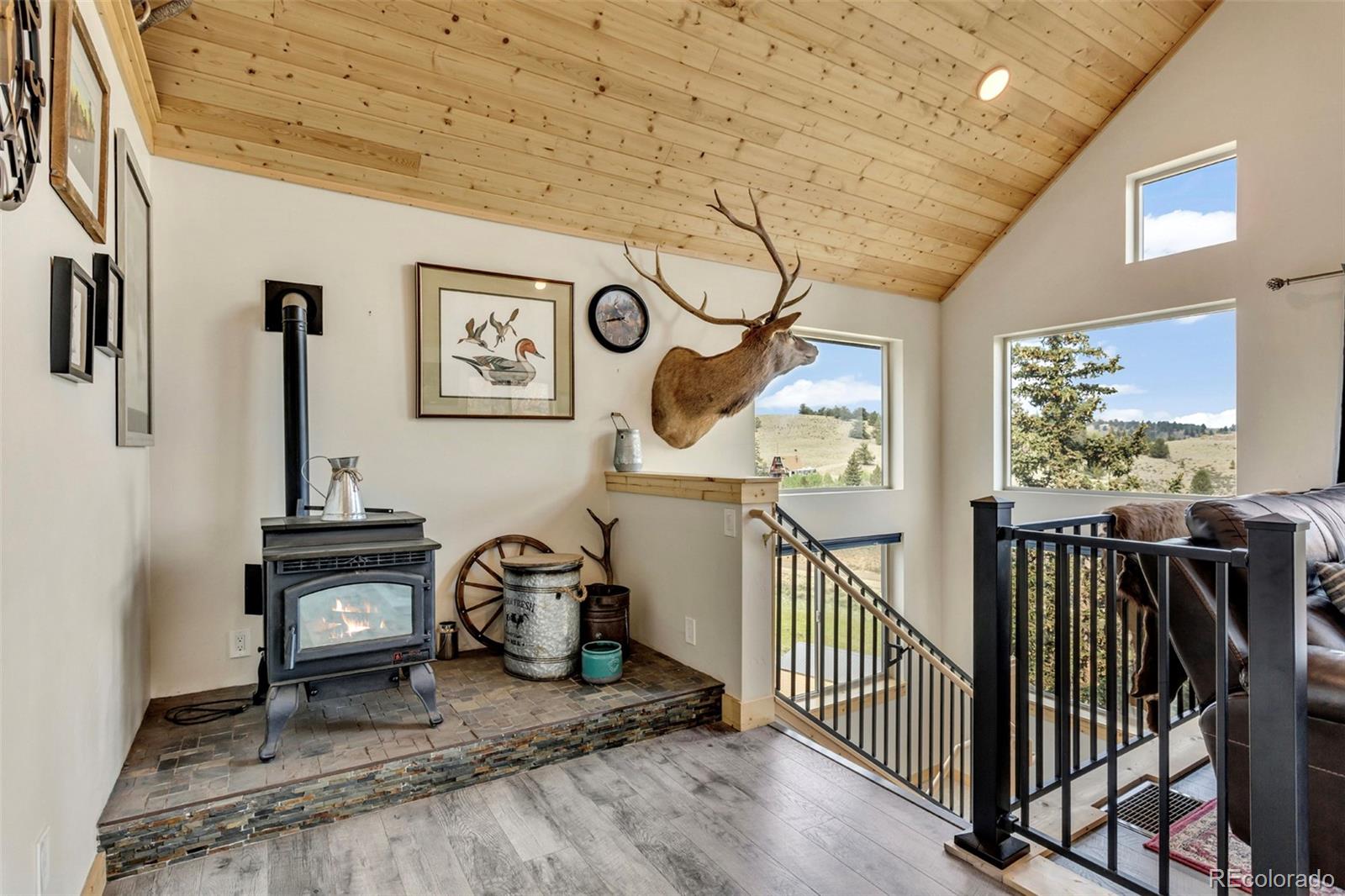MLS Image #13 for 964  stagestop road,jefferson, Colorado