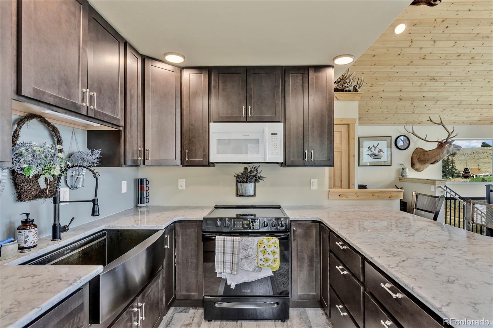 MLS Image #16 for 964  stagestop road,jefferson, Colorado