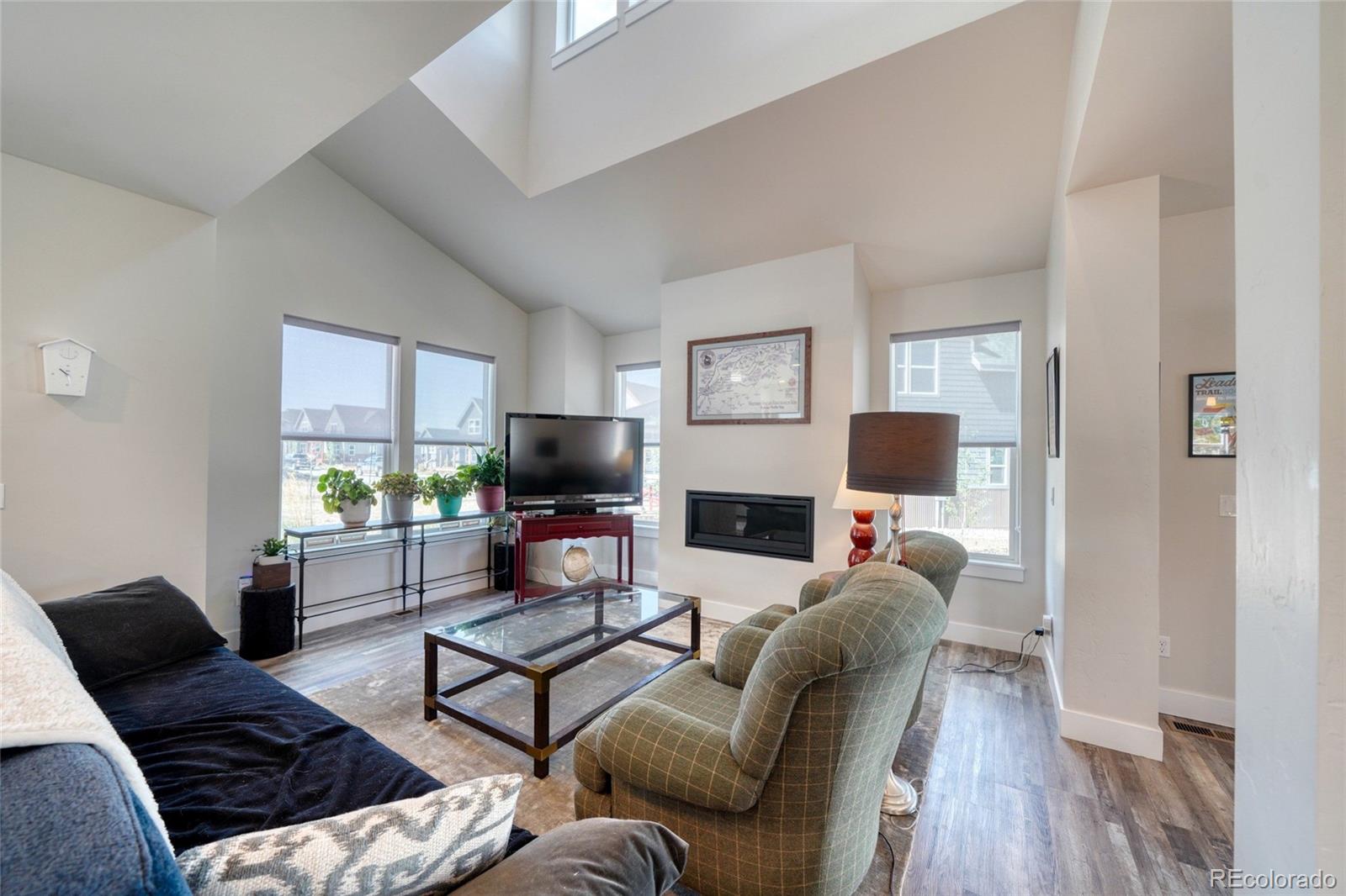 MLS Image #12 for 1404  matchstick green ,leadville, Colorado