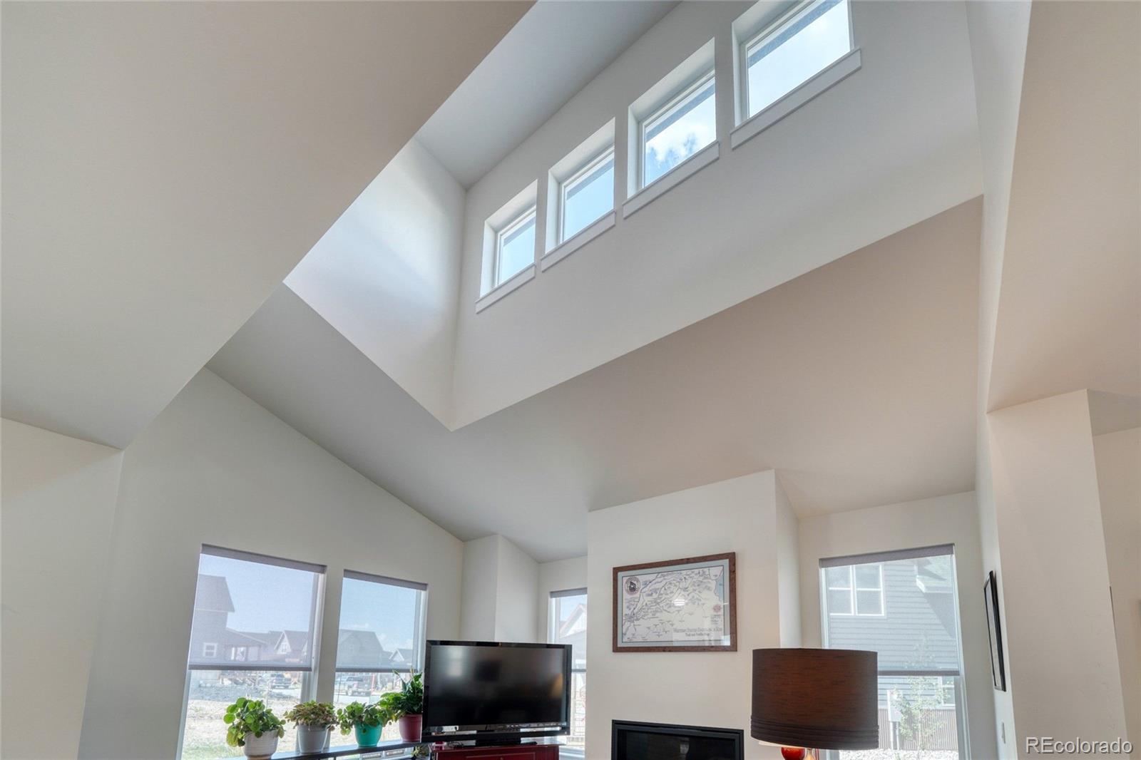 MLS Image #22 for 1404  matchstick green ,leadville, Colorado