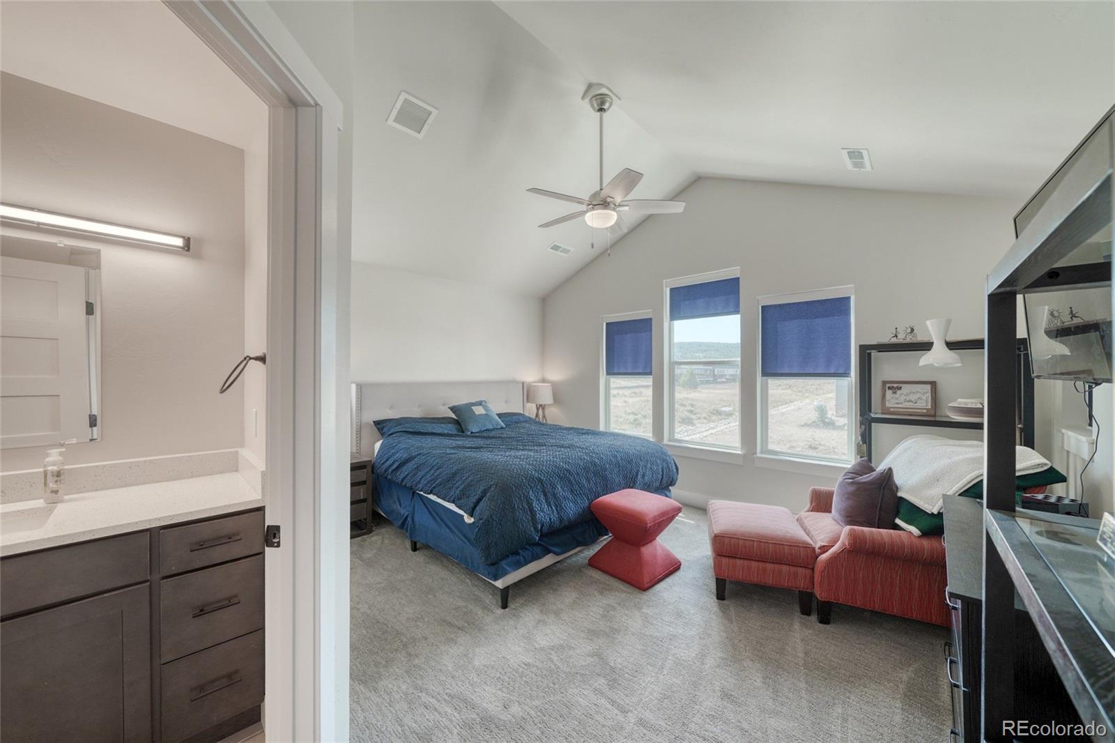 MLS Image #24 for 1404  matchstick green ,leadville, Colorado
