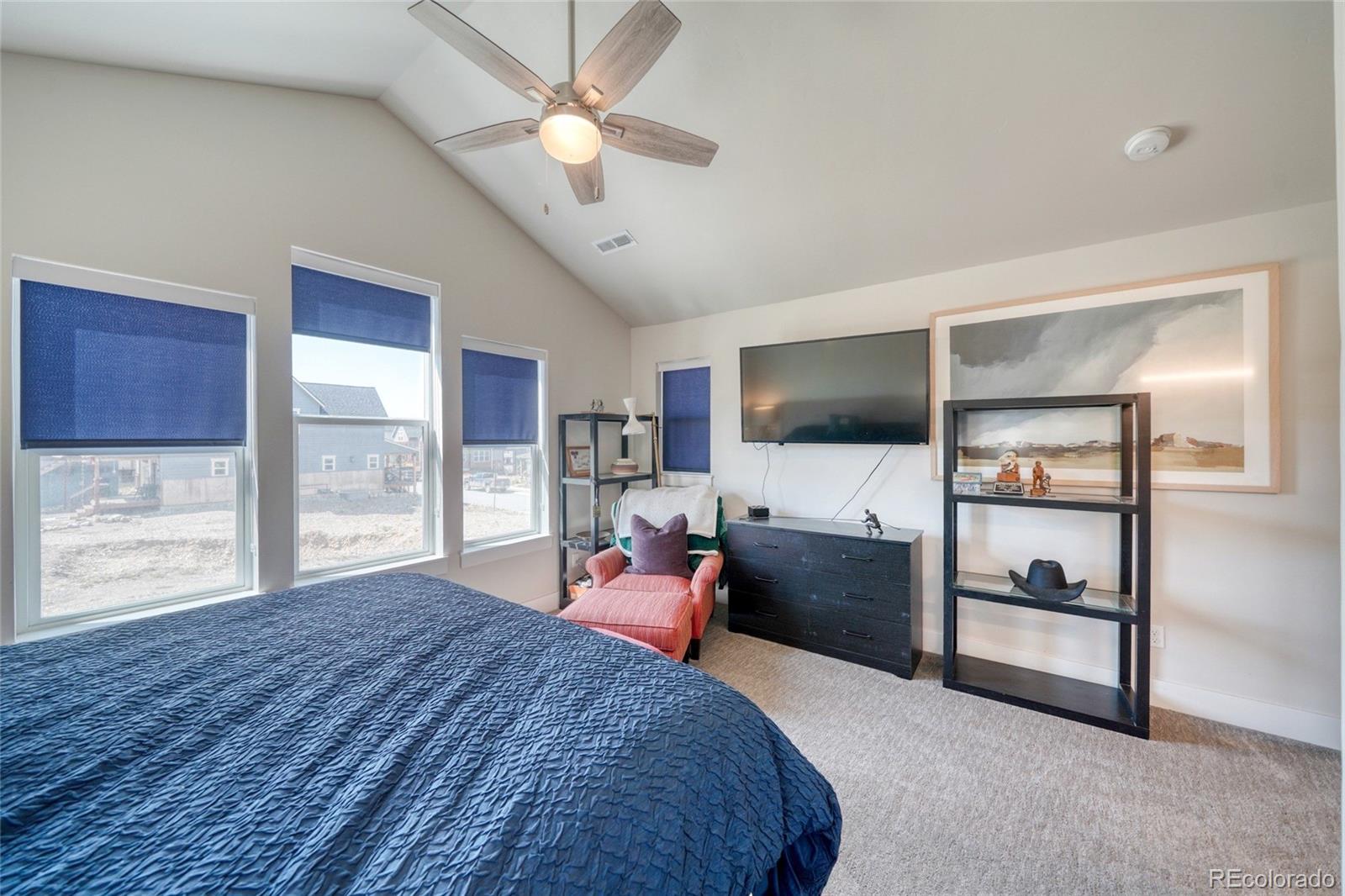 MLS Image #25 for 1404  matchstick green ,leadville, Colorado