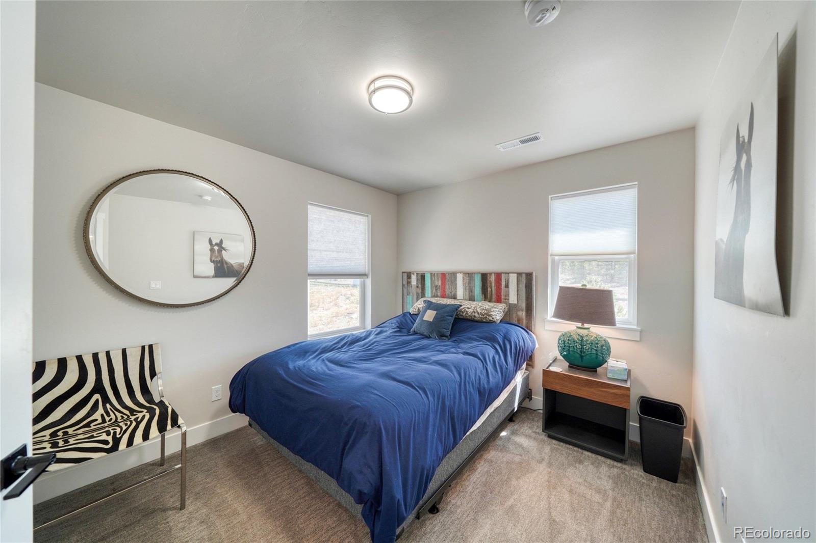 MLS Image #27 for 1404  matchstick green ,leadville, Colorado