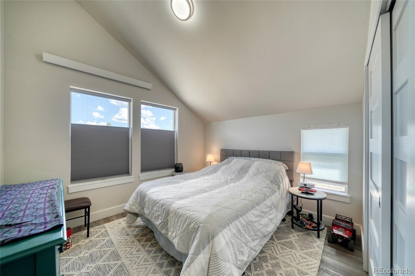 MLS Image #41 for 1404  matchstick green ,leadville, Colorado