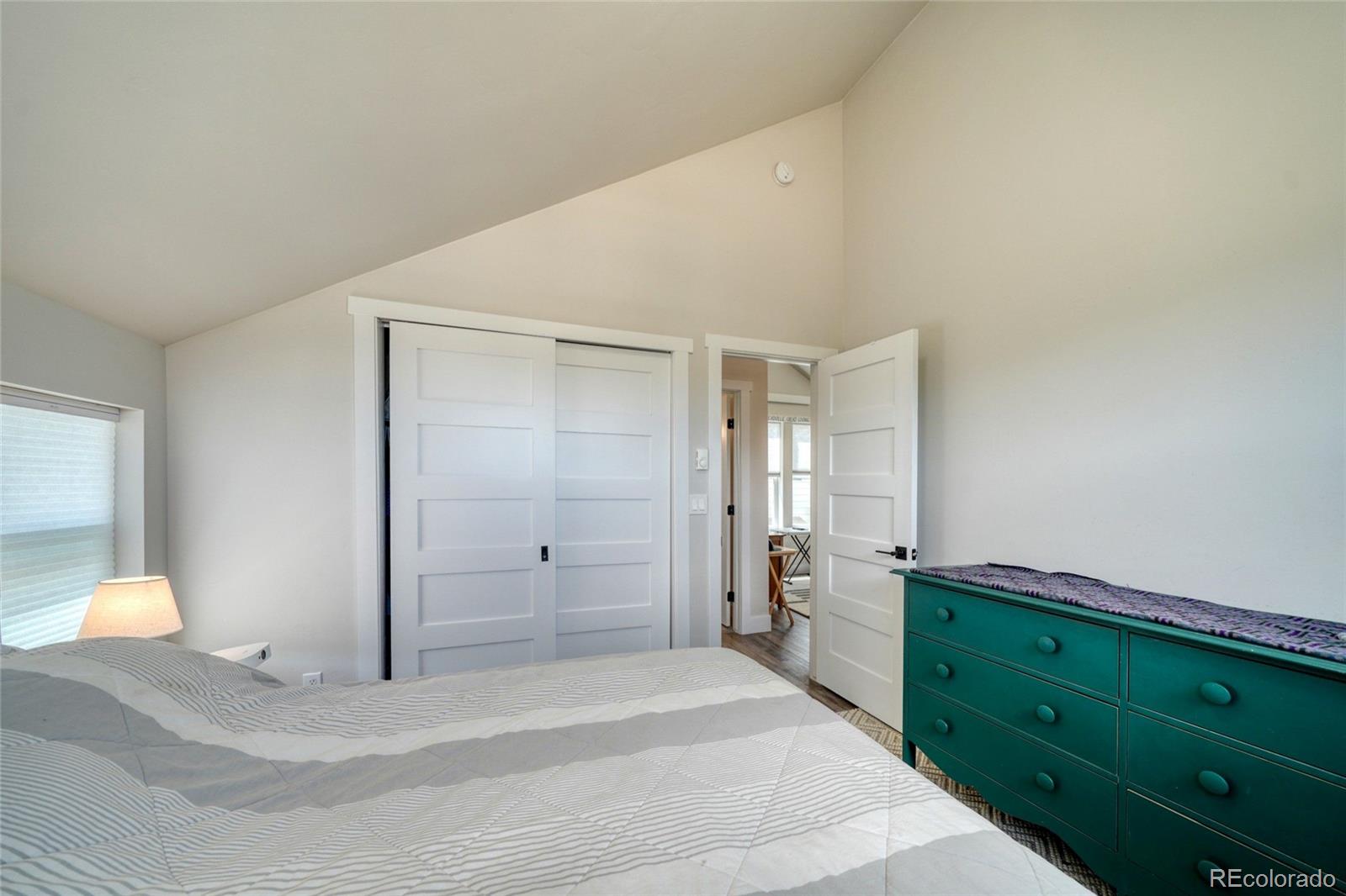 MLS Image #42 for 1404  matchstick green ,leadville, Colorado