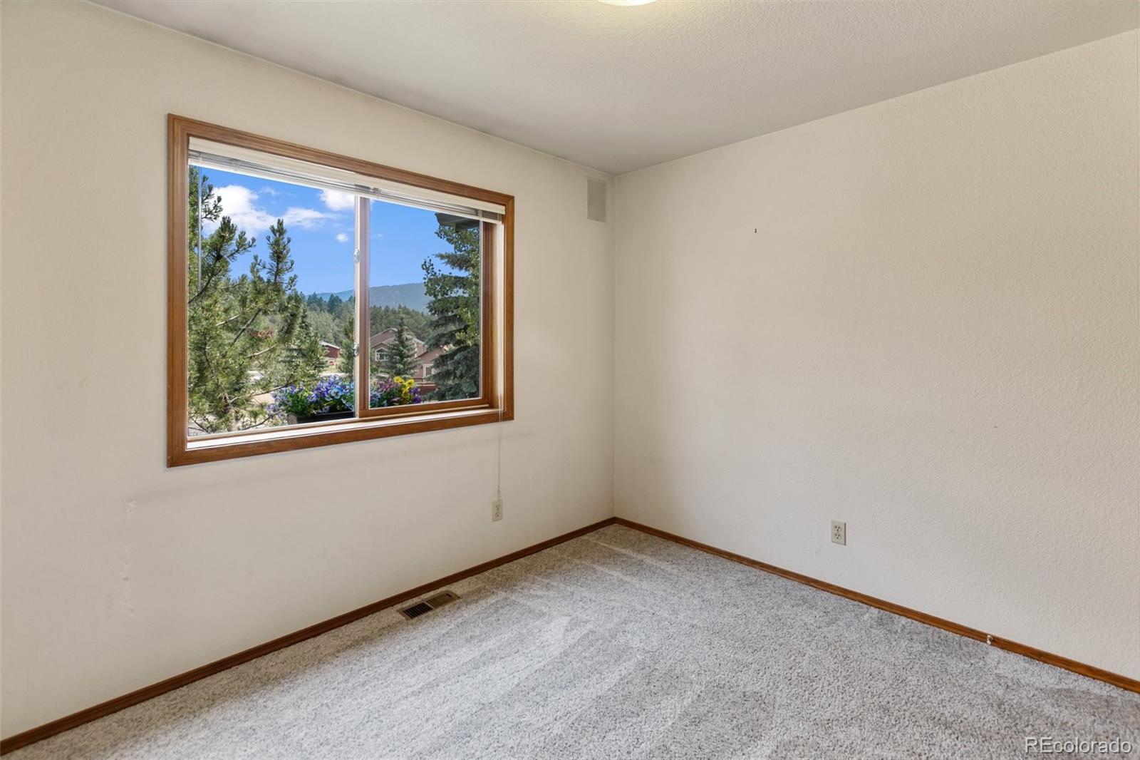 MLS Image #14 for 821  red eagle court,woodland park, Colorado