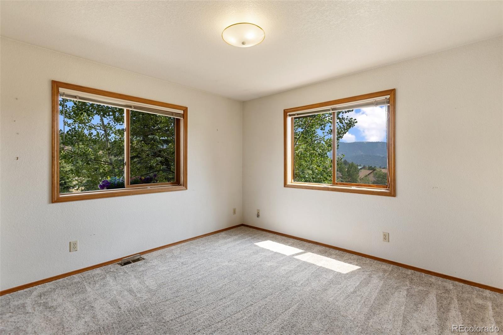 MLS Image #16 for 821  red eagle court,woodland park, Colorado