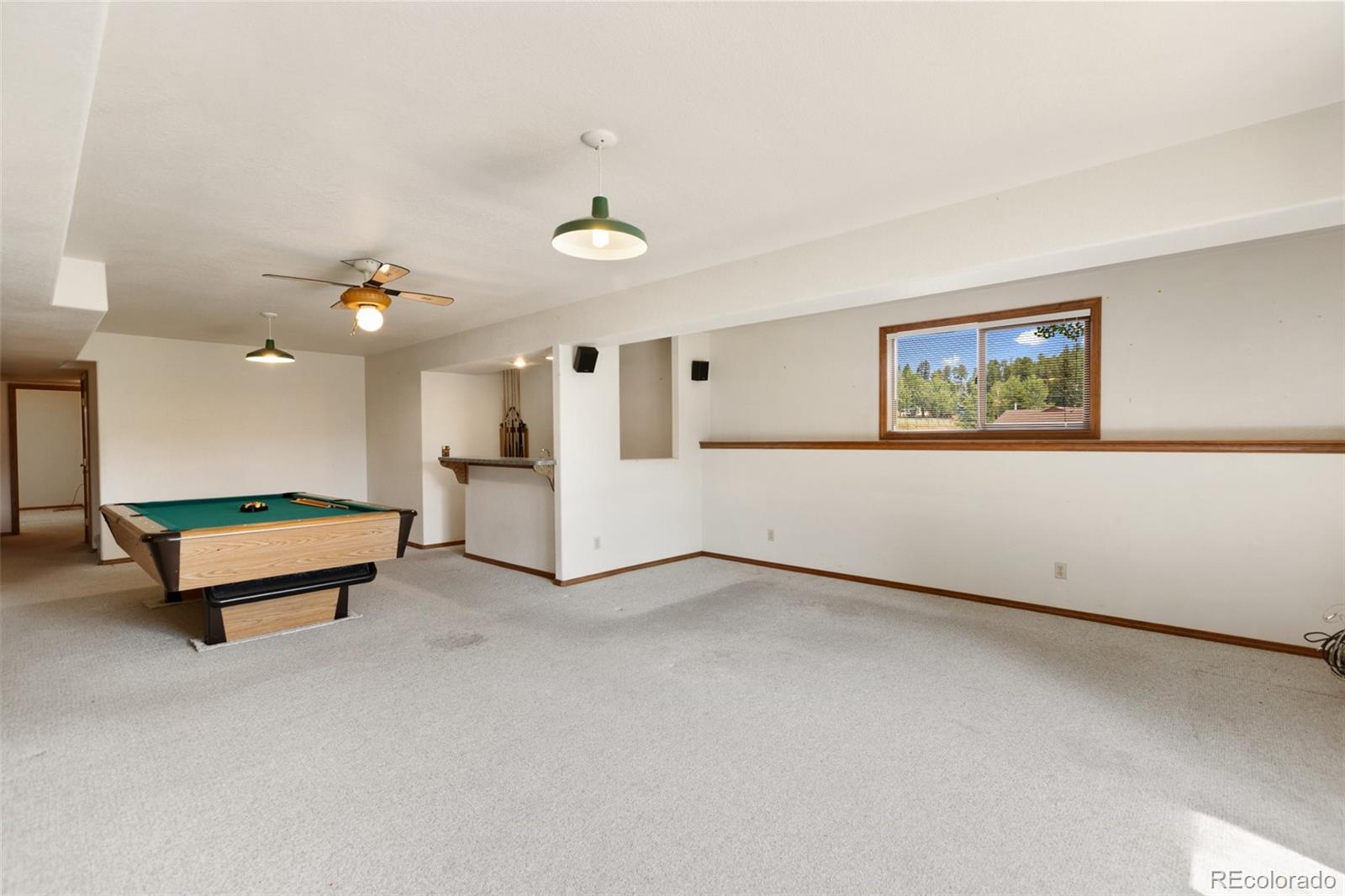 MLS Image #22 for 821  red eagle court,woodland park, Colorado