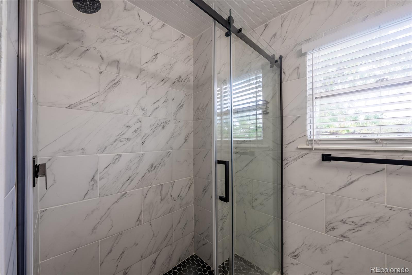 MLS Image #13 for 10615  albion street,denver, Colorado