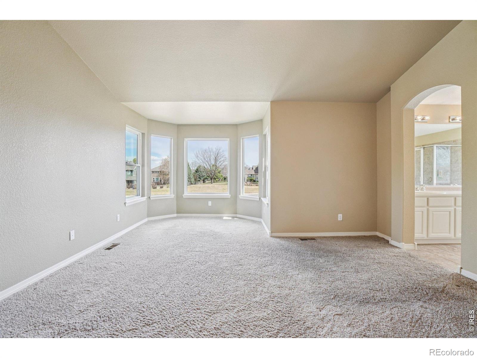MLS Image #14 for 8110  northstar drive,windsor, Colorado